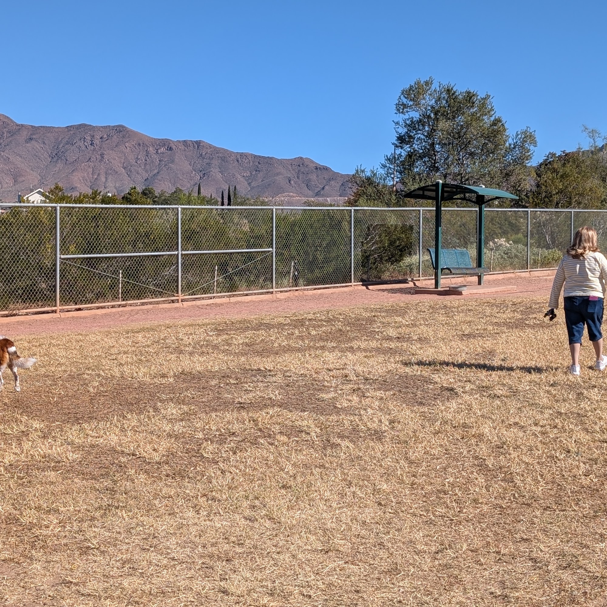 Westside Dog Park El Paso