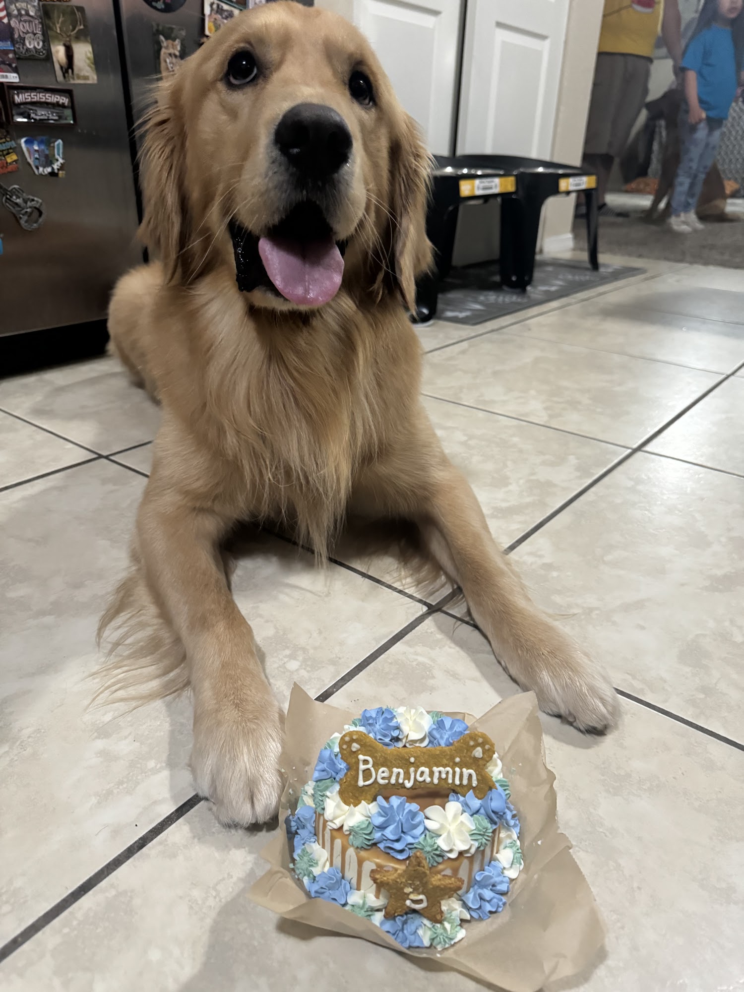 Double Dog Dare Bakery El Paso