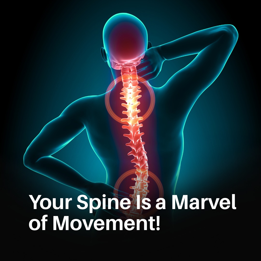 Southwest Chiropractic