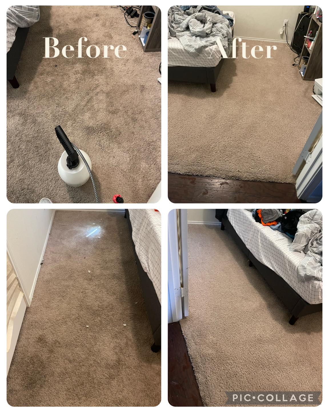 Premier Carpet Cleaning