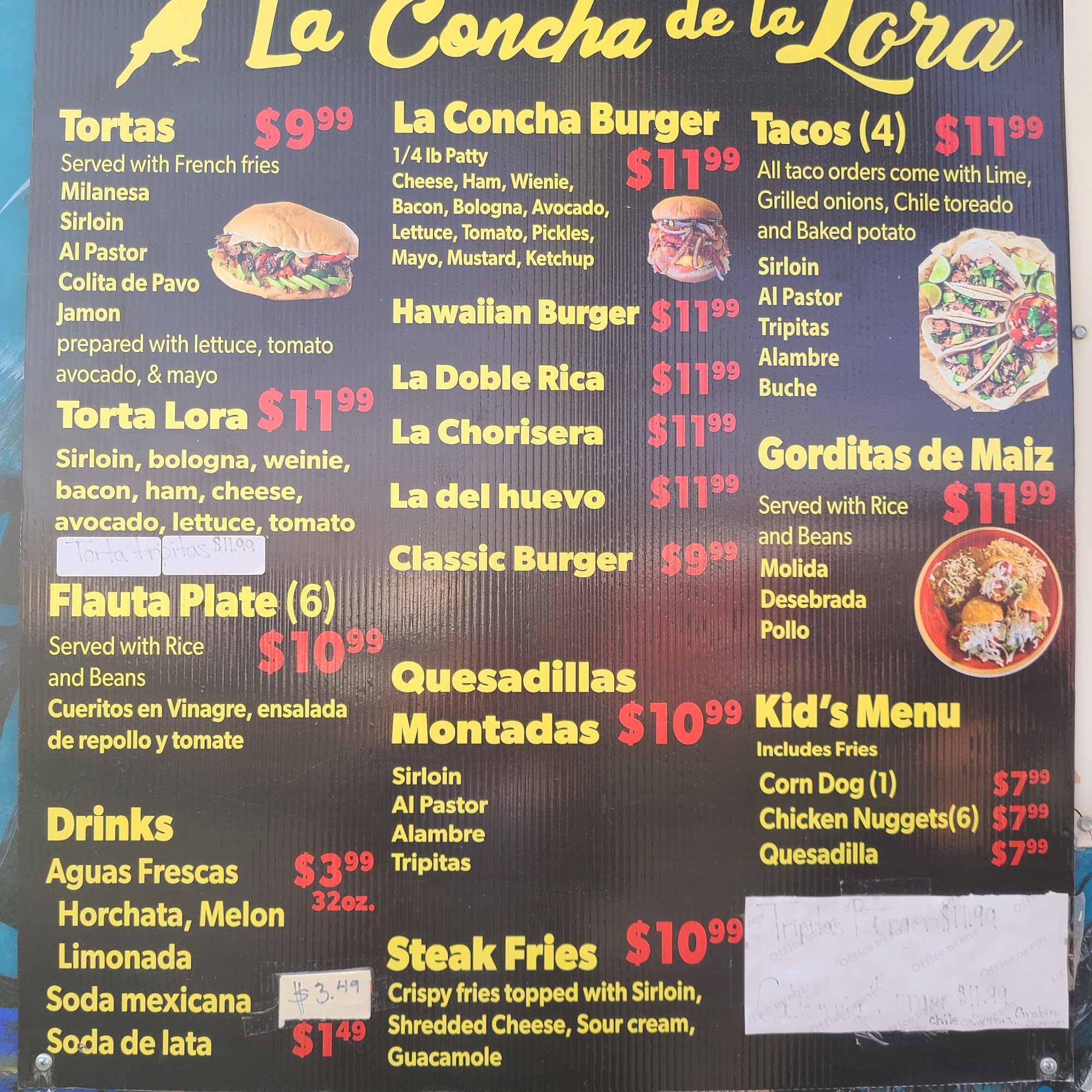 La concha de la lora