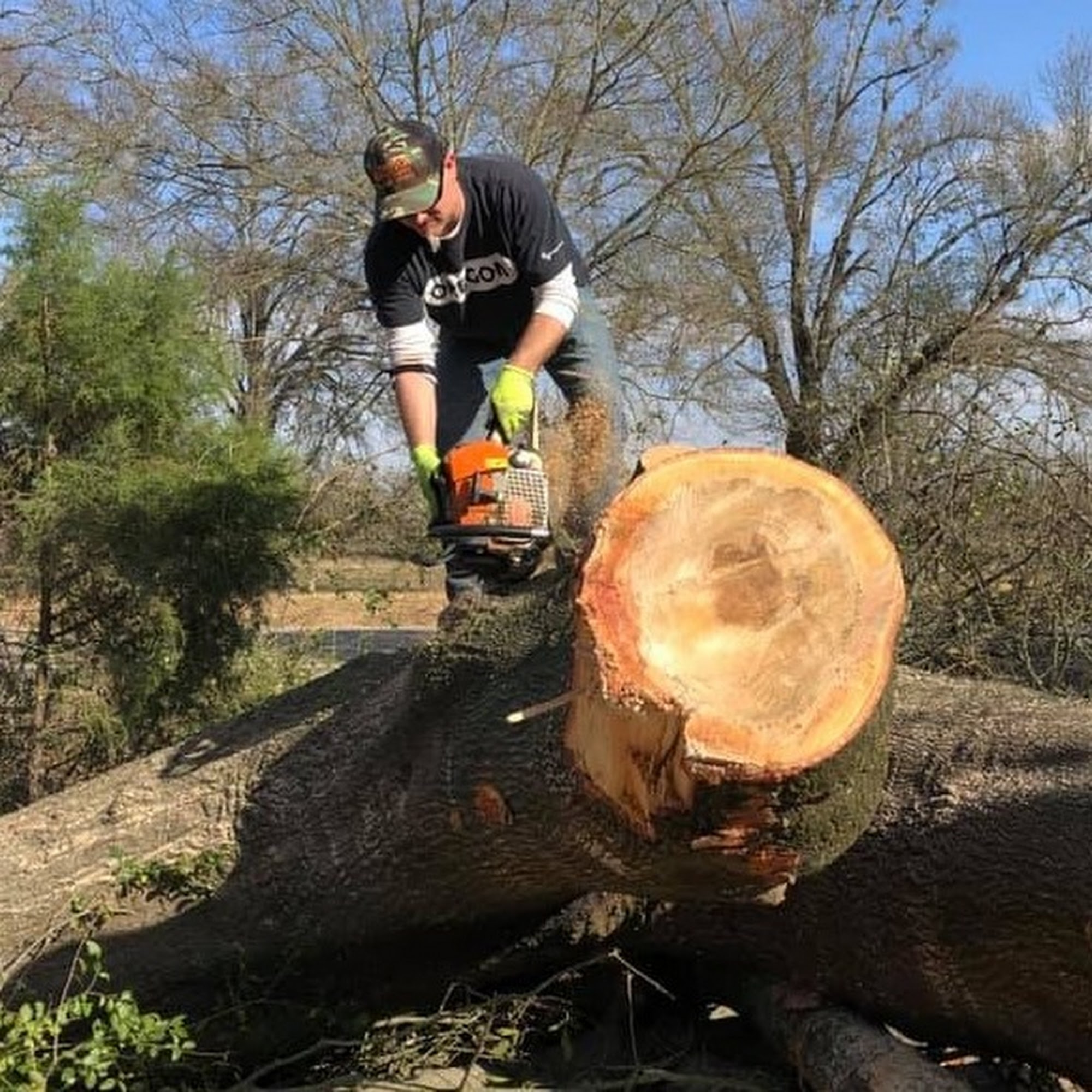 Sutton Tree Service and Sutton Saw Mill 318 FM316, Eustace Texas 75124