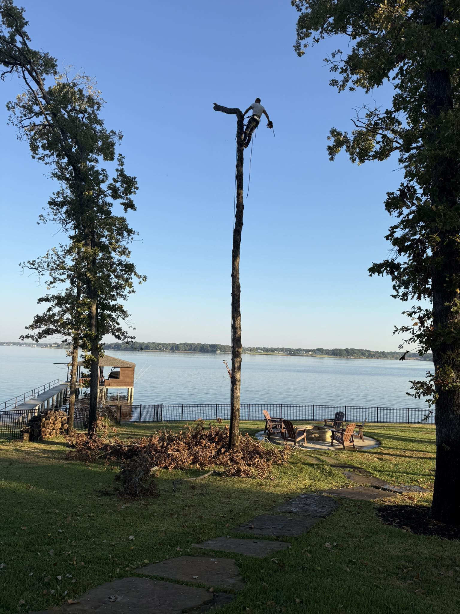 Sutton Tree Service and Sutton Saw Mill 318 FM316, Eustace Texas 75124