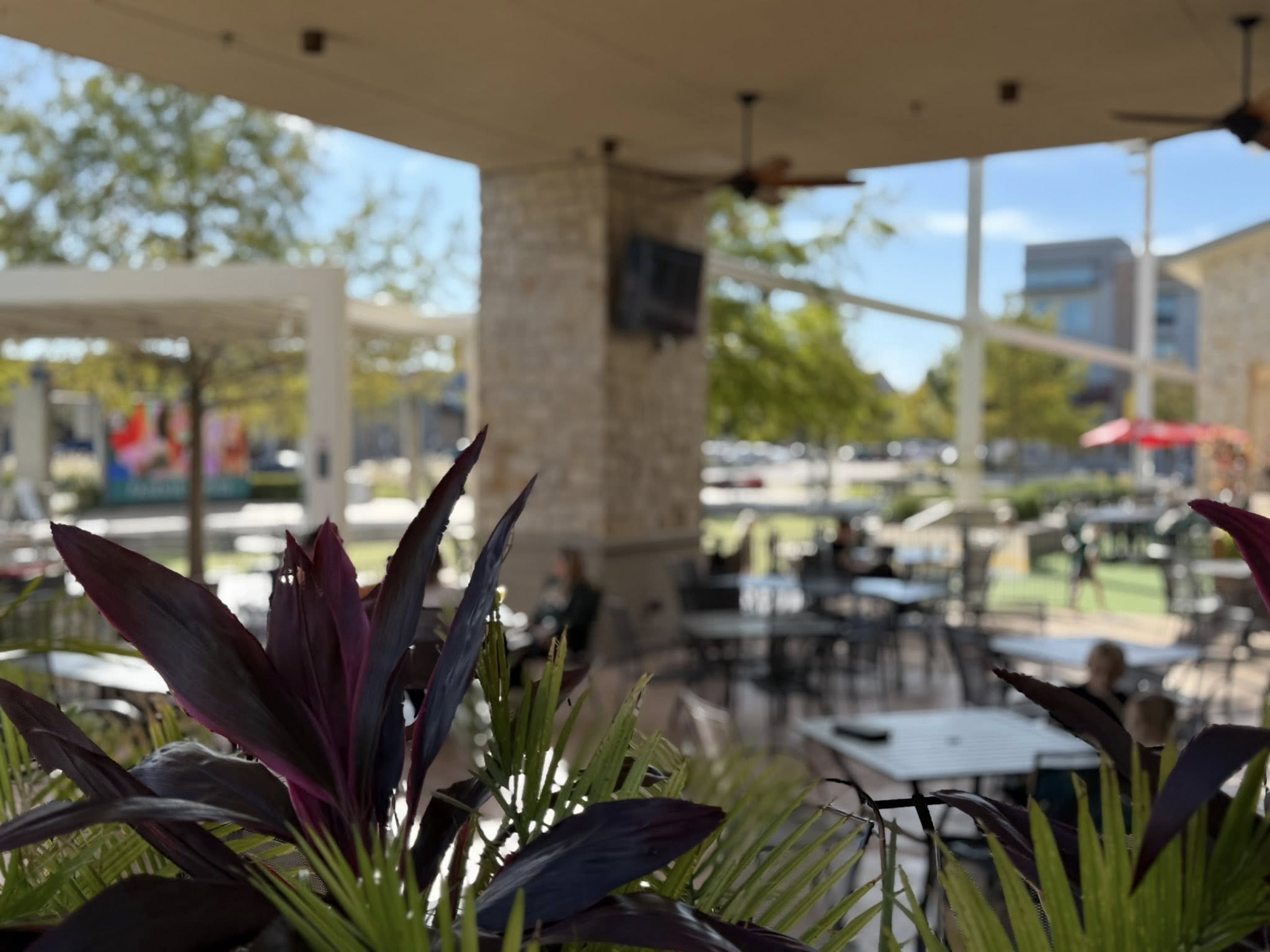 Cafe Gecko Fairview Fairview