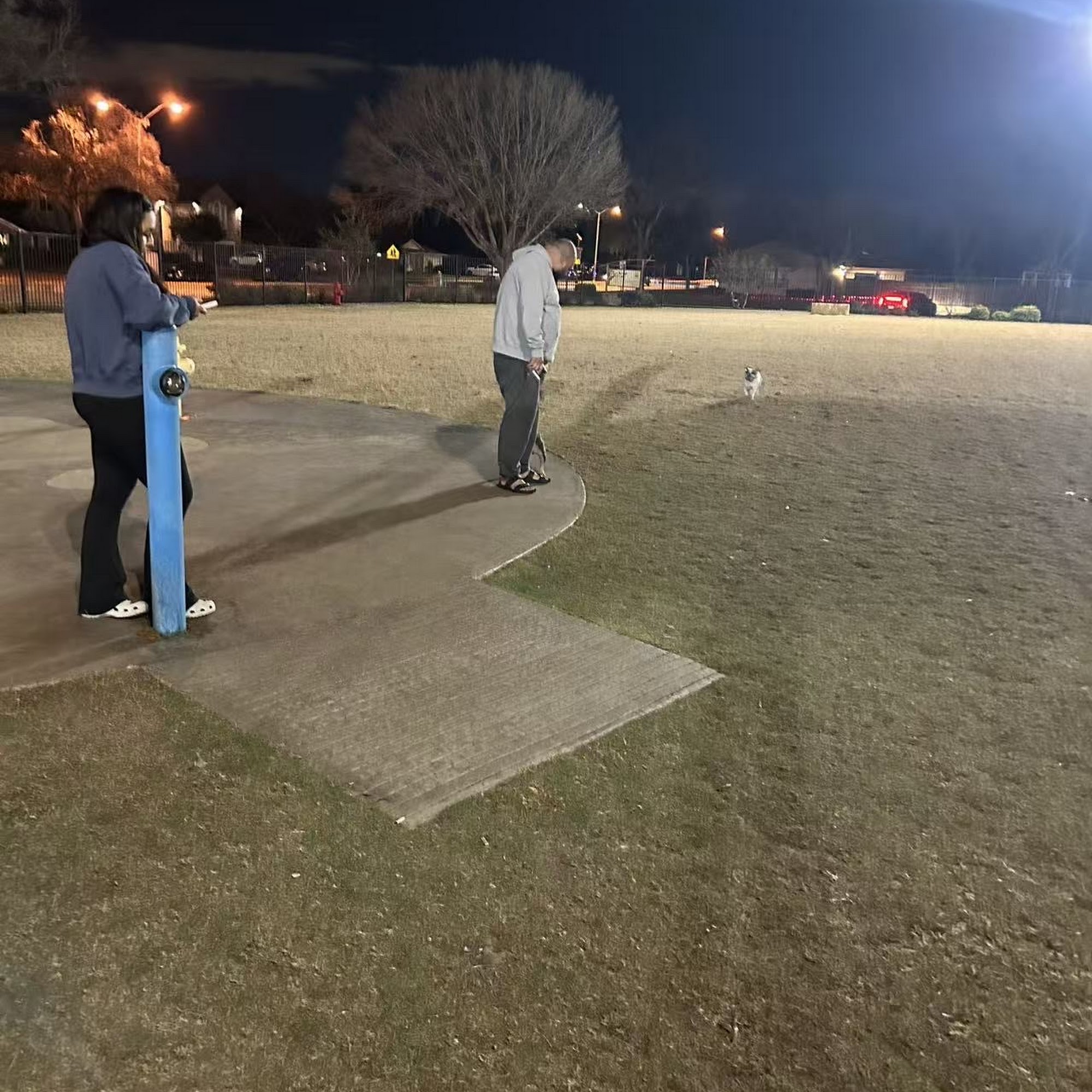 Barney Wood Bark Park Farmers Branch