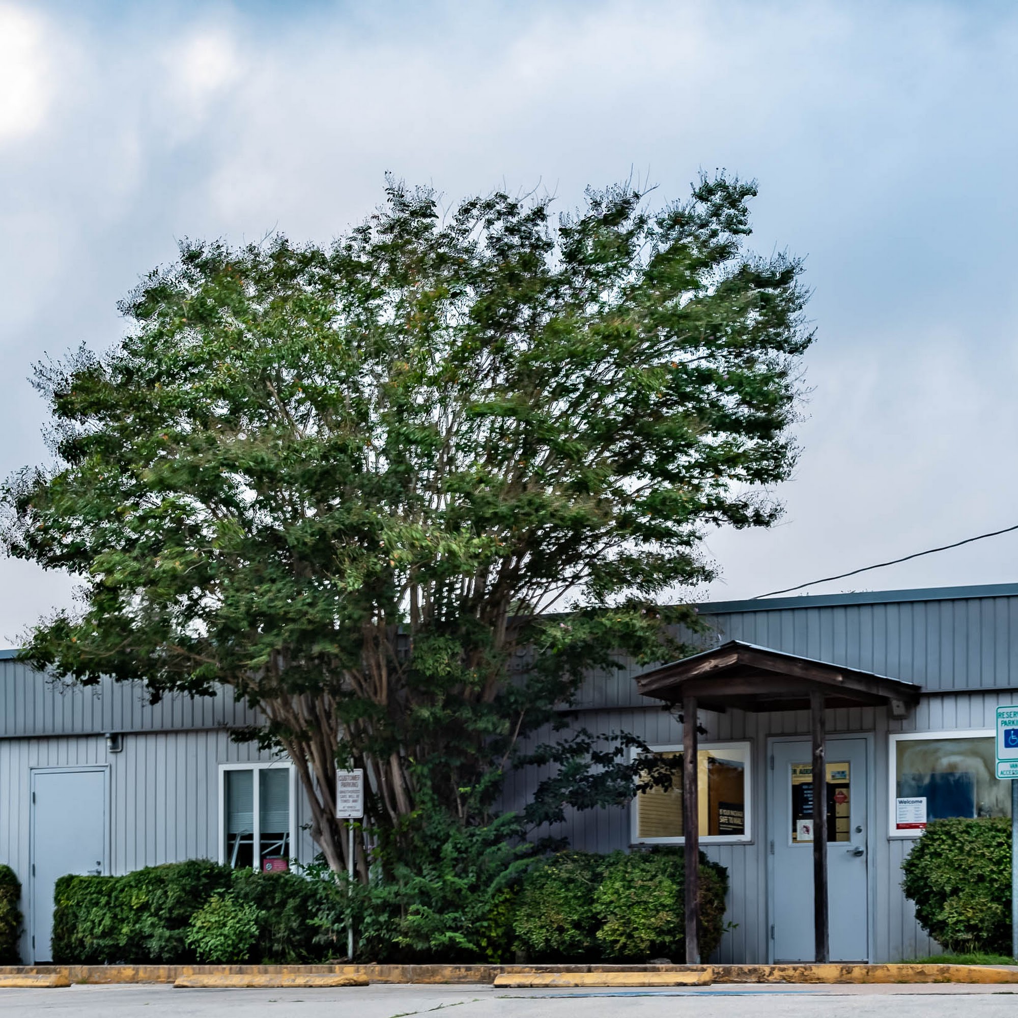 United States Postal Service Fischer