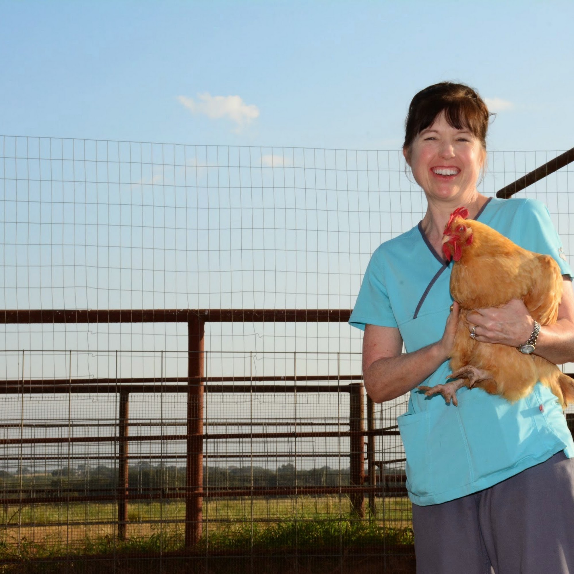 Deason Animal Hospital Floresville