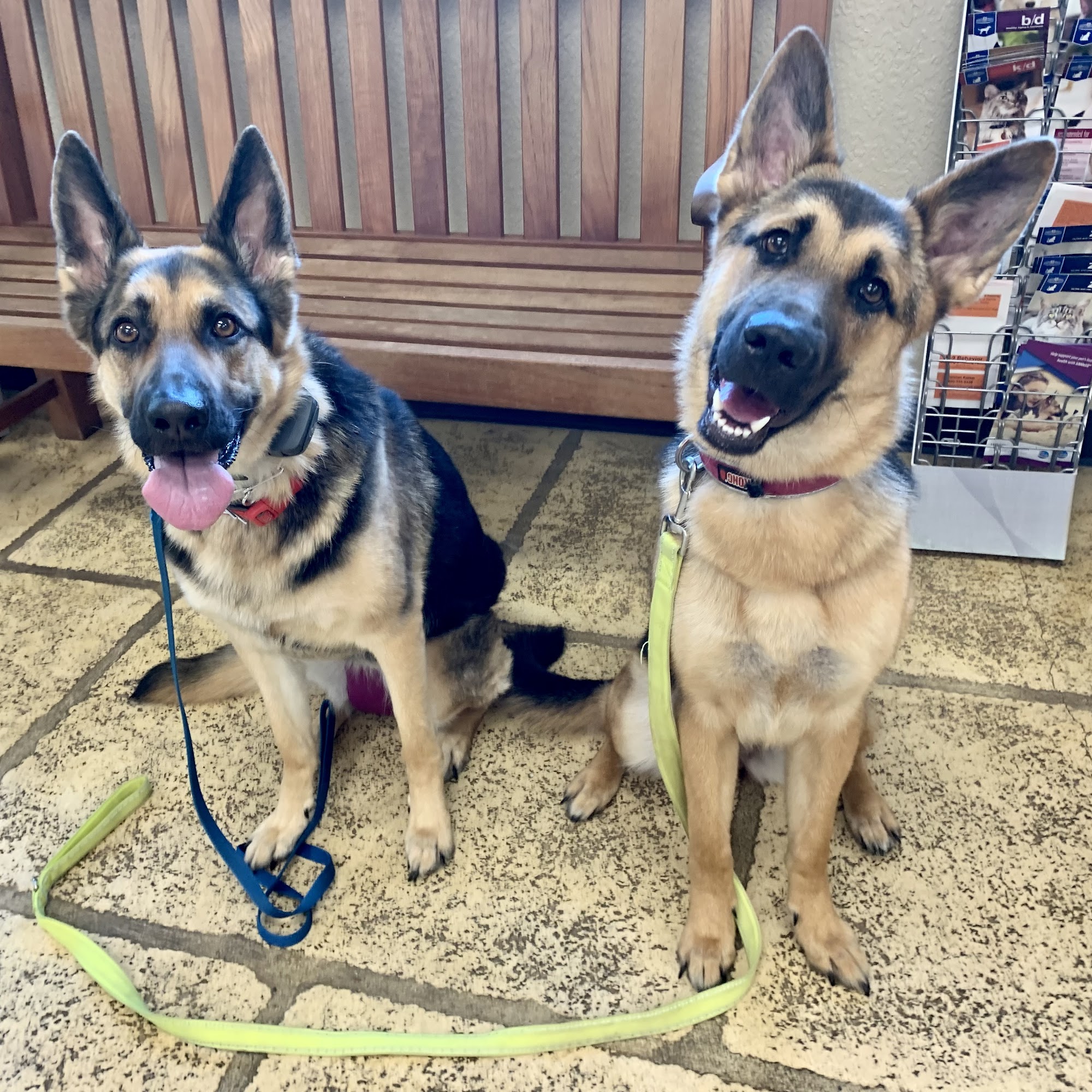 Oak Hills Animal Hospital Floresville