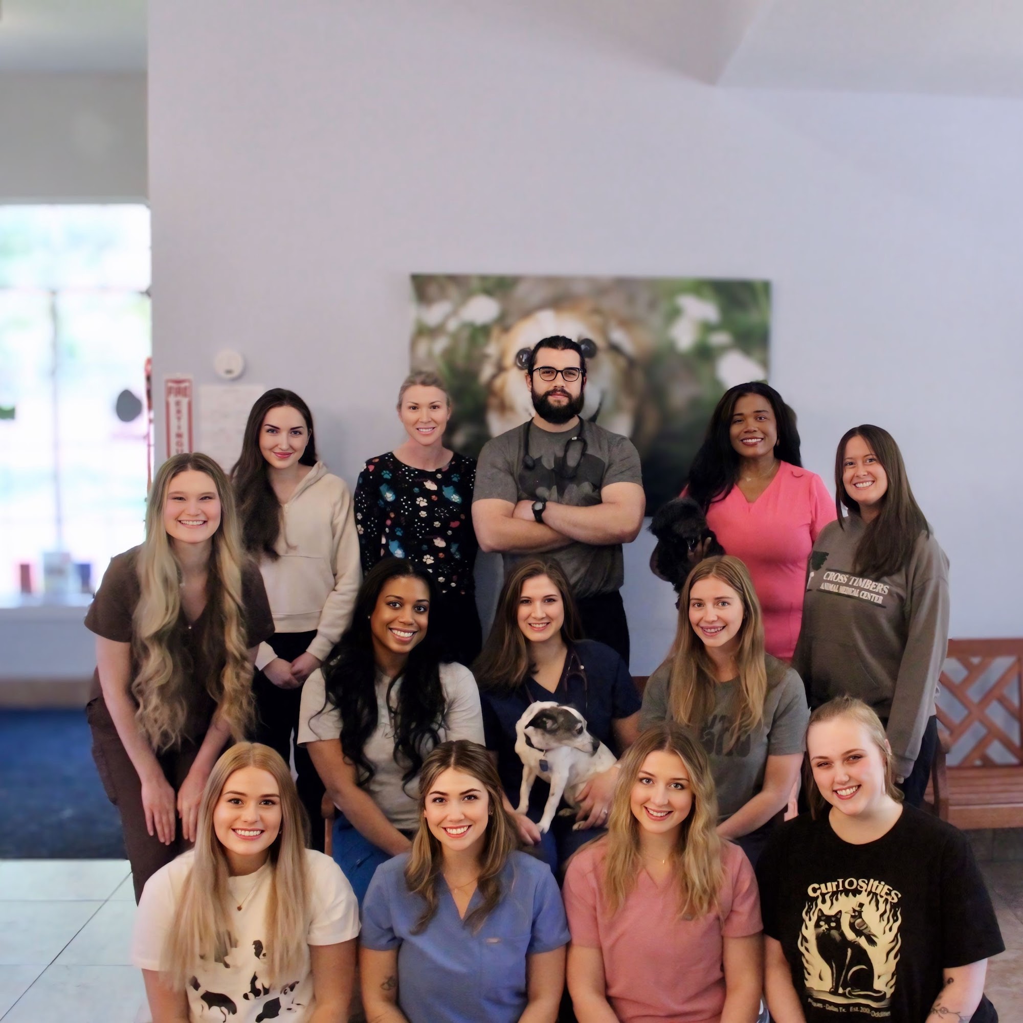 Cross Timbers Animal Medical Center Flower Mound