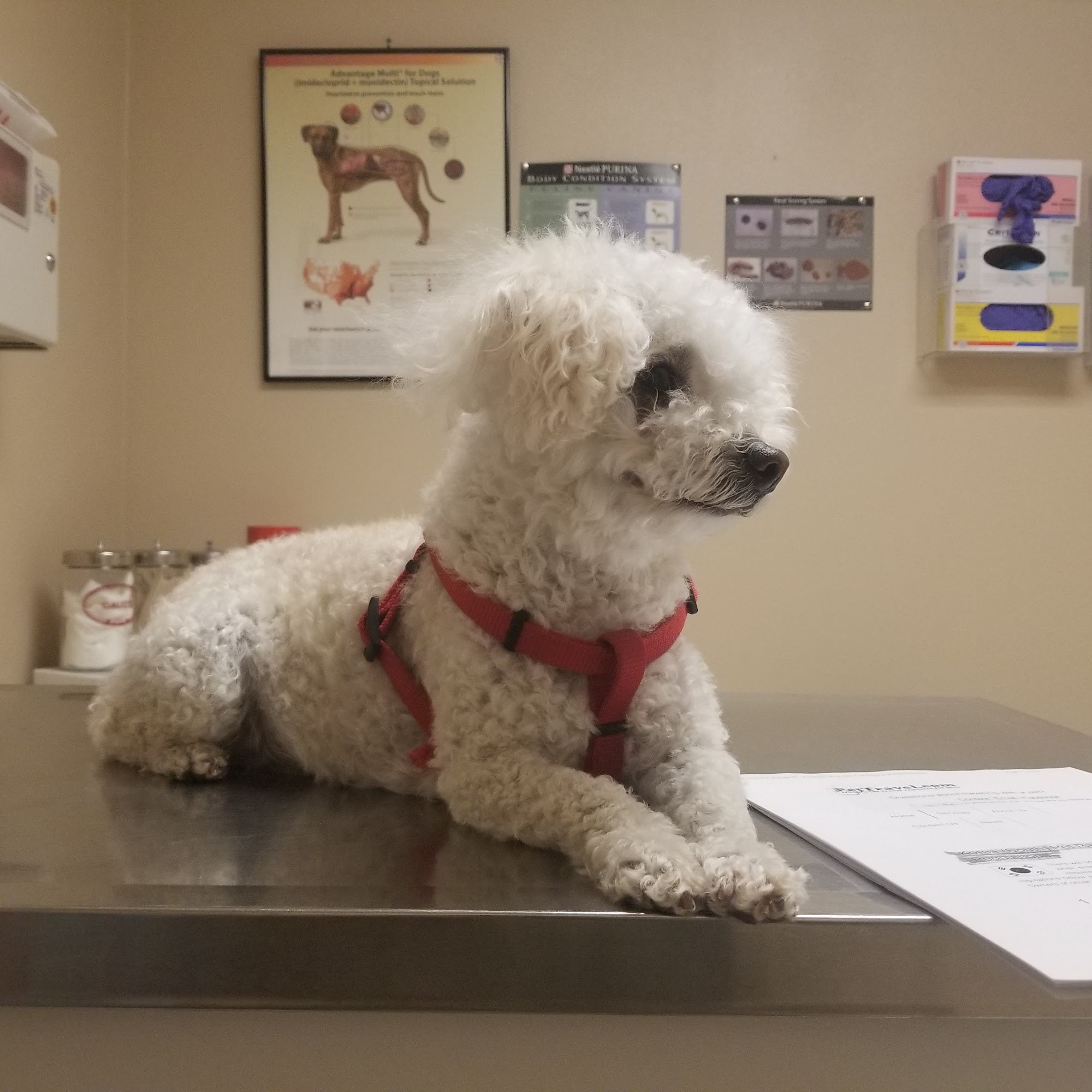 Fort Bliss Veterinary Treatment Facility Fort Bliss