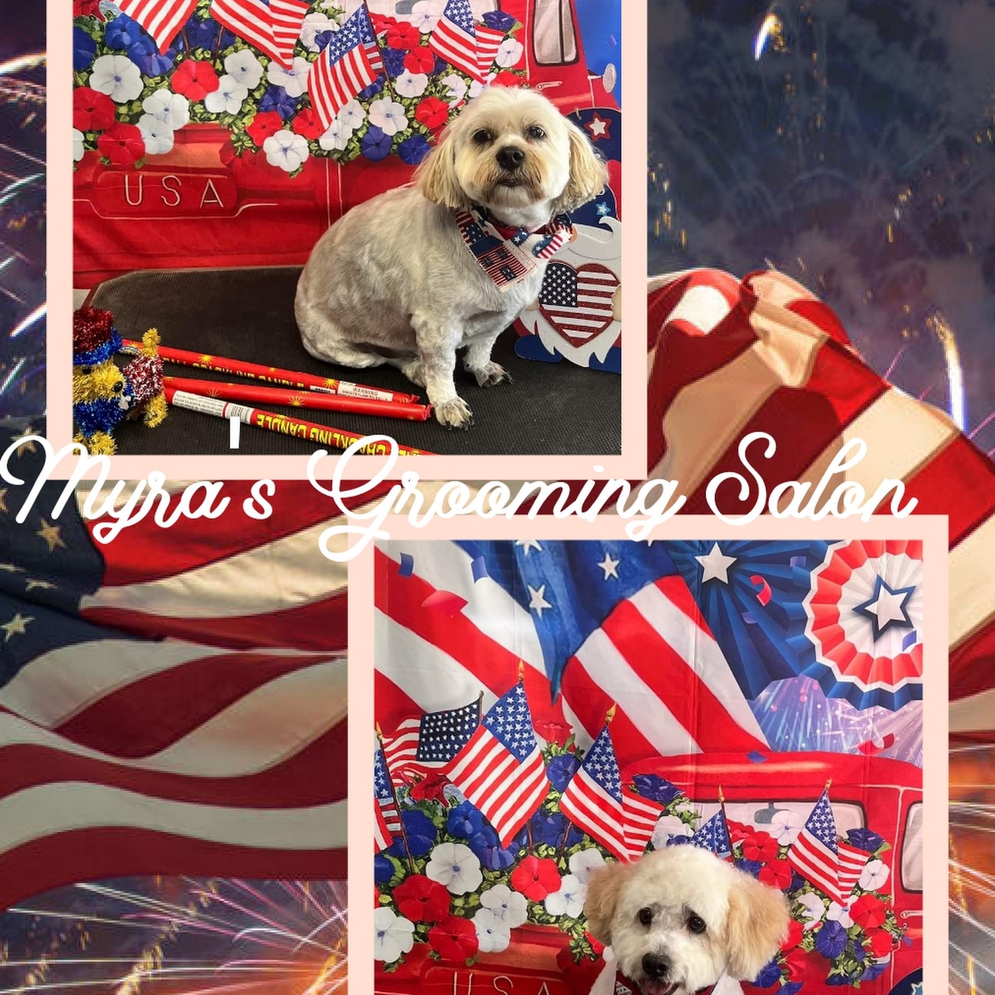 Myra's Grooming Salon Fort Stockton