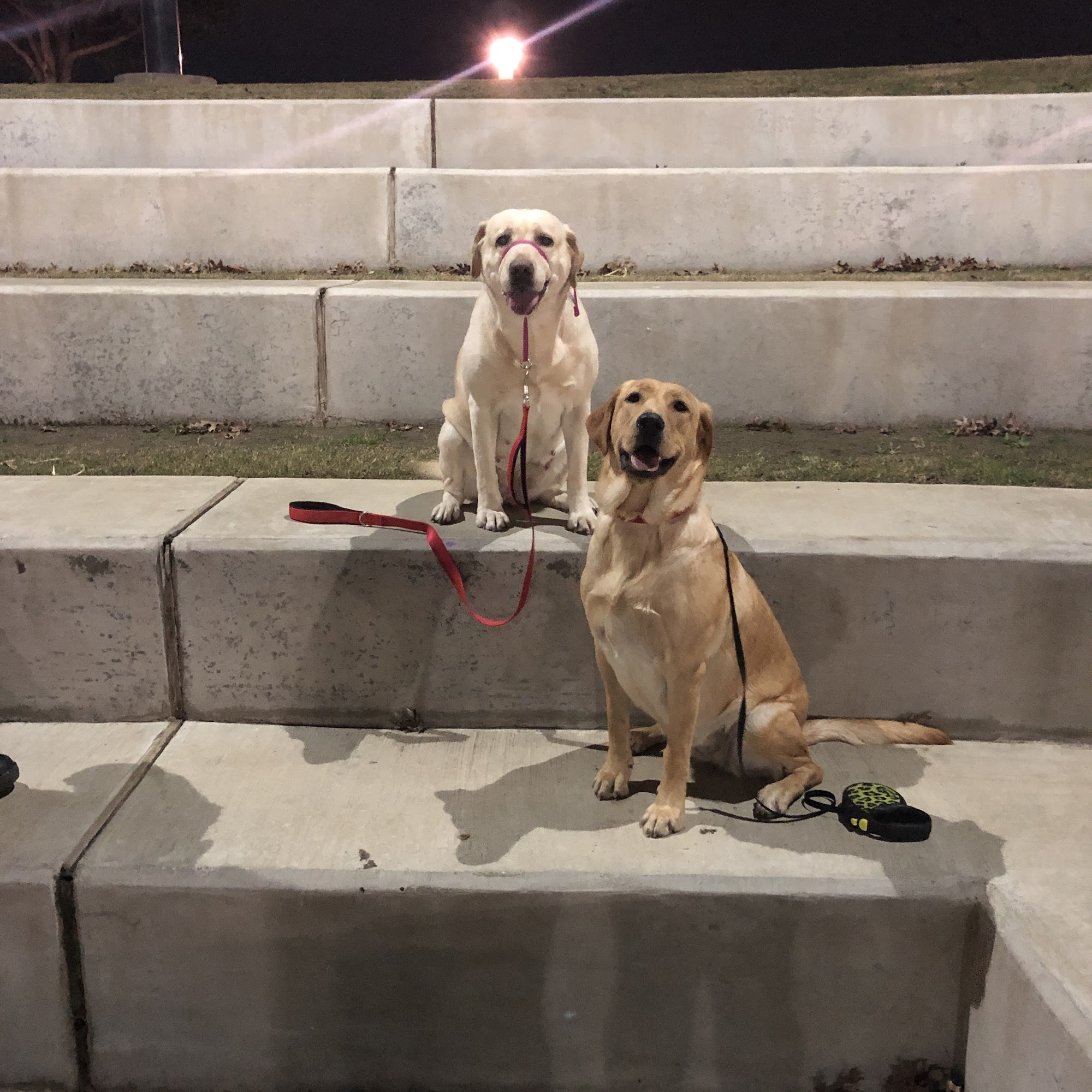 Village Animal Clinic Fort Worth