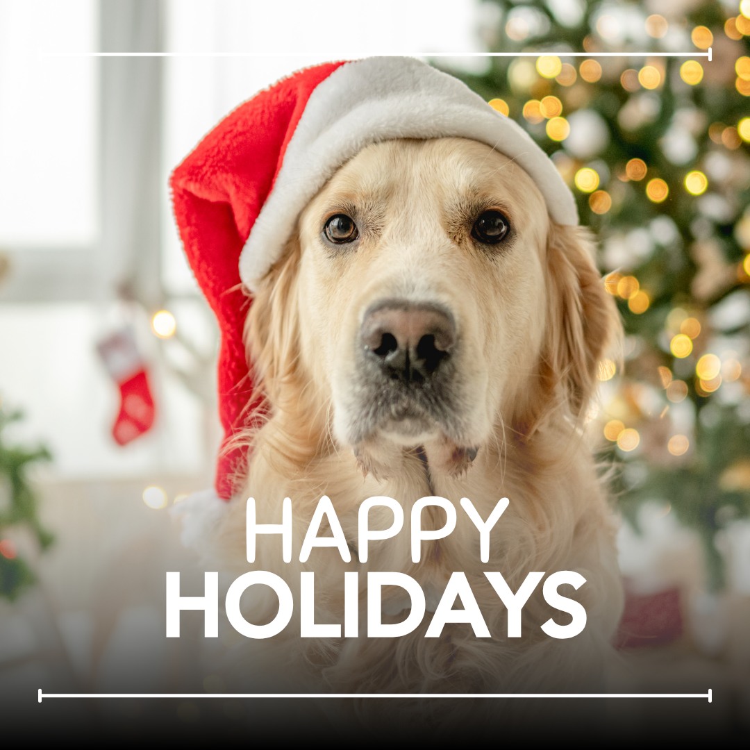 The Paw Pad Fort Worth