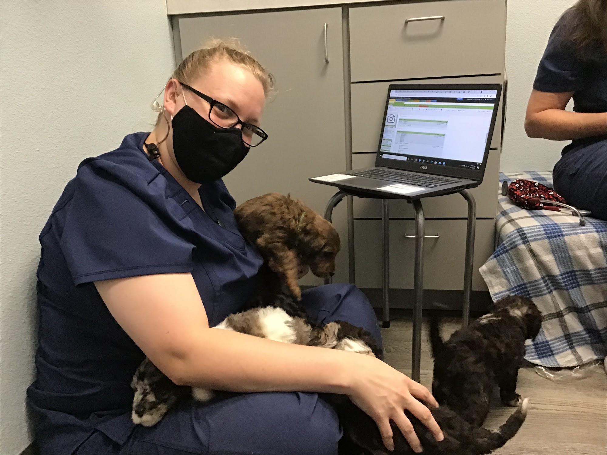 Summer Creek Animal Clinic Fort Worth