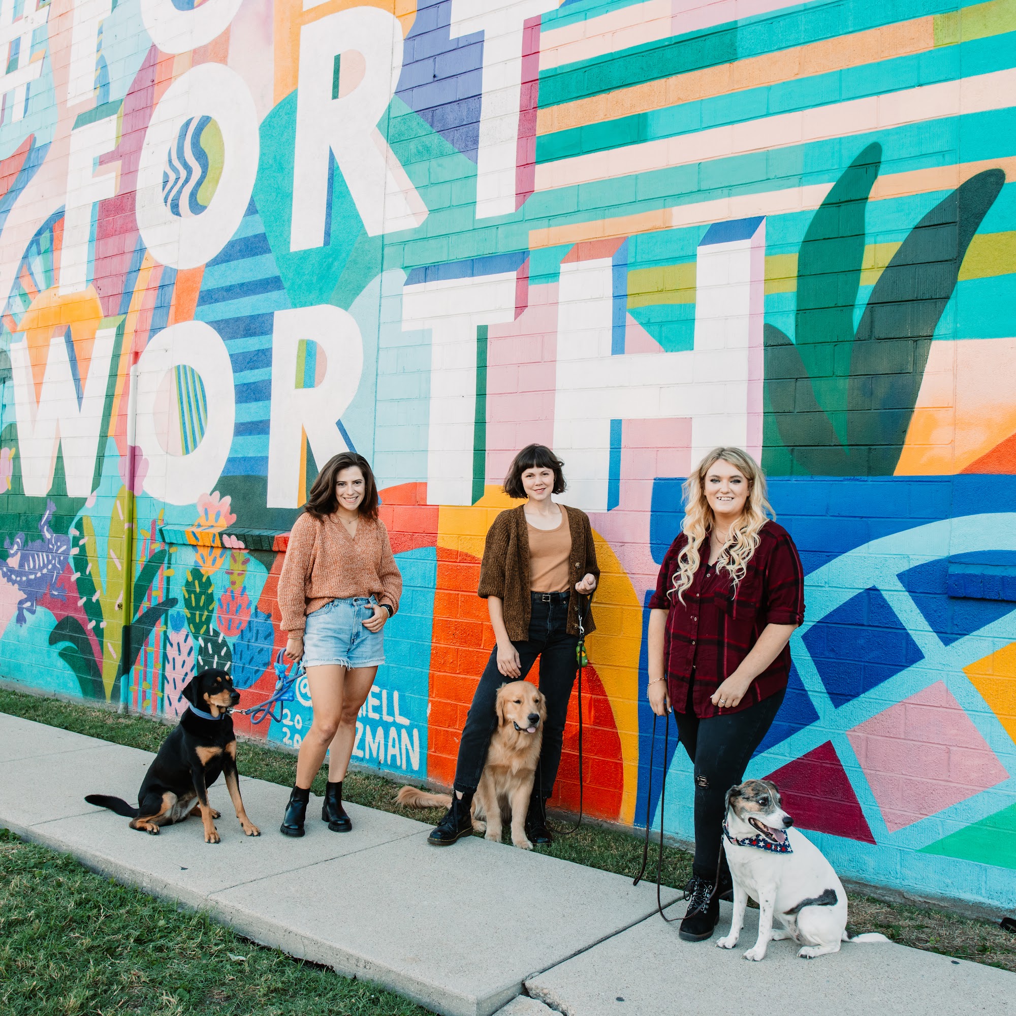 Diamond Dogs Training Fort Worth