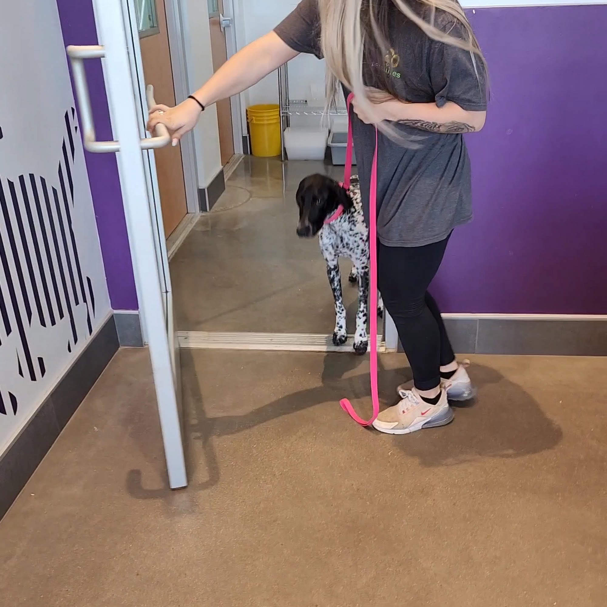 PetSuites Alliance Fort Worth