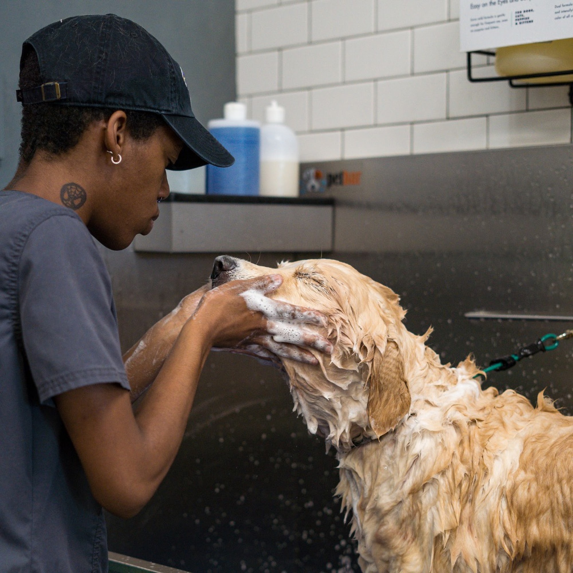 Petbar Waterside Fort Worth