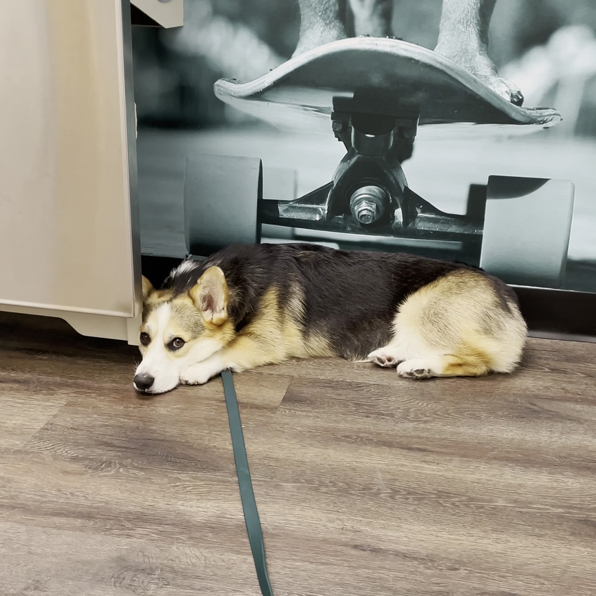 CityVet | South Hulen Fort Worth