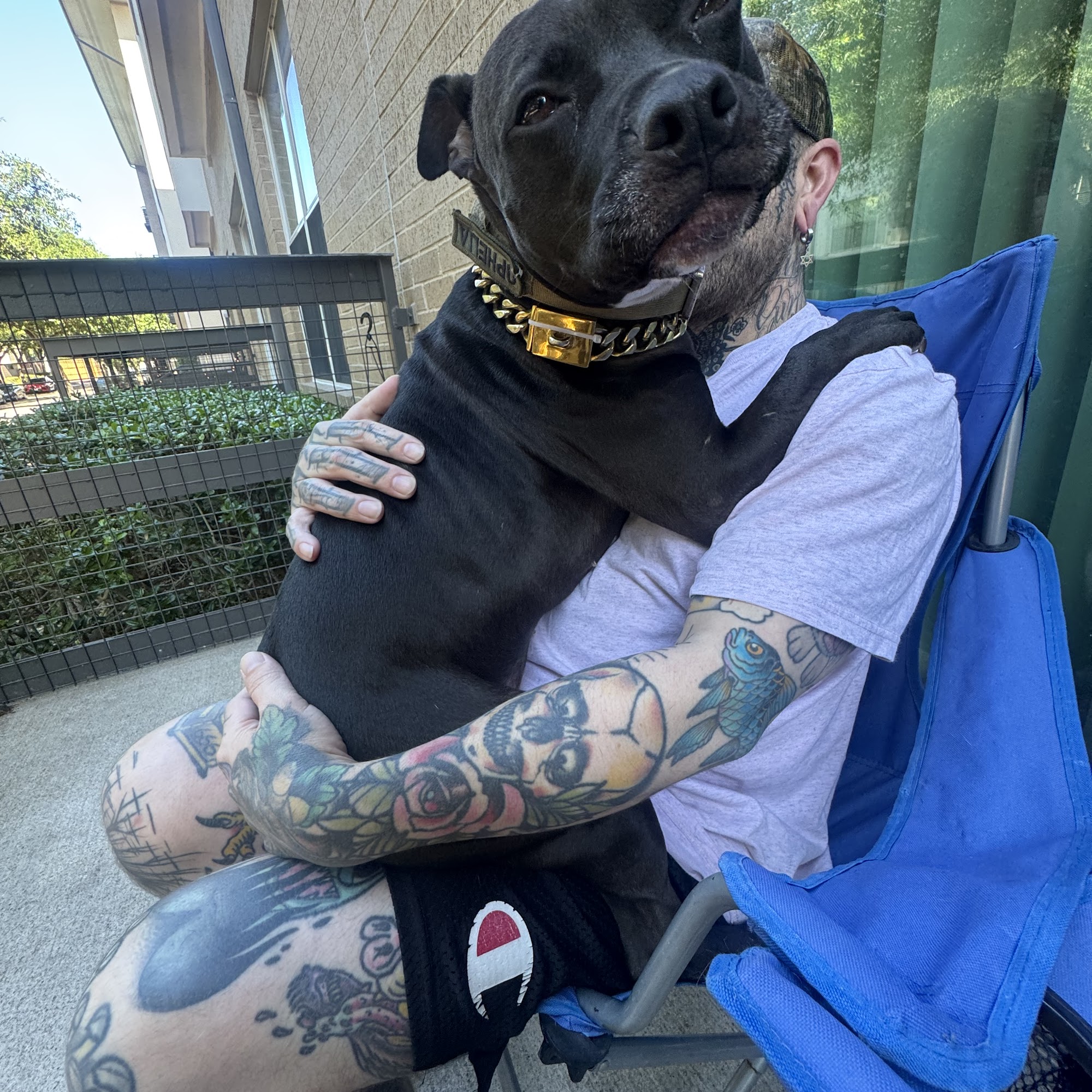 Texas Foundation for Animal Care Fort Worth