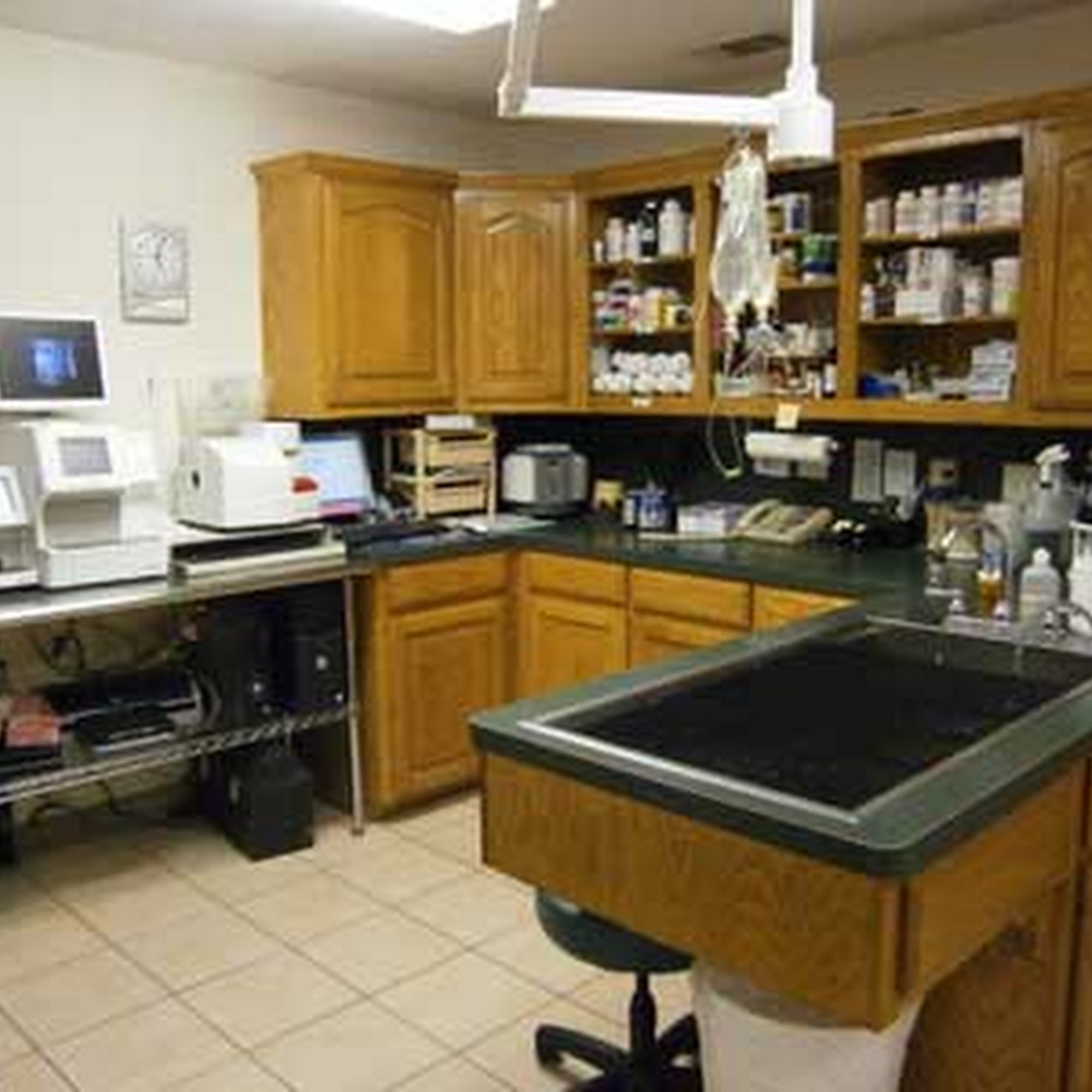 Lake Palestine Animal Hospital Frankston