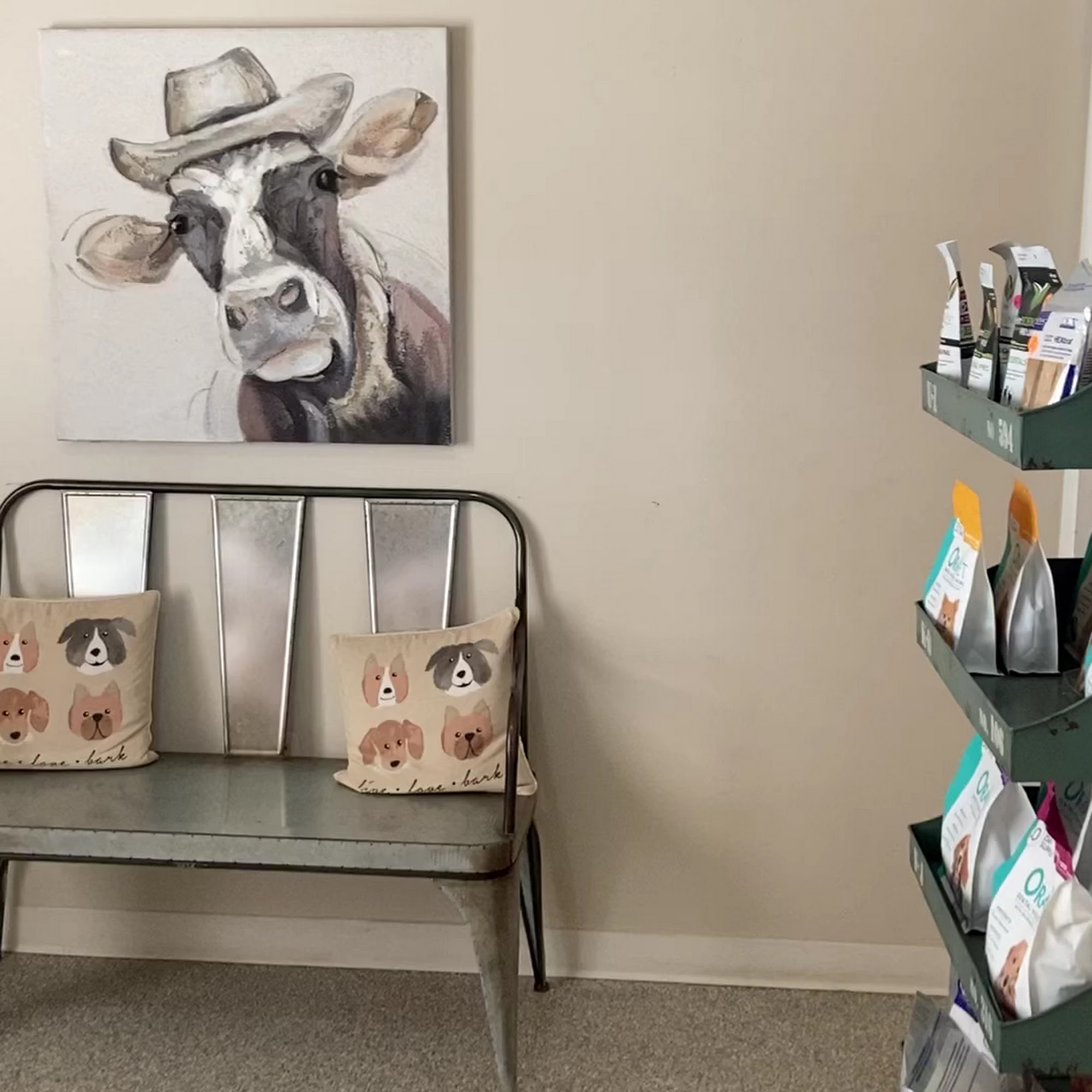 Hill Country Veterinary Clinic Fredericksburg