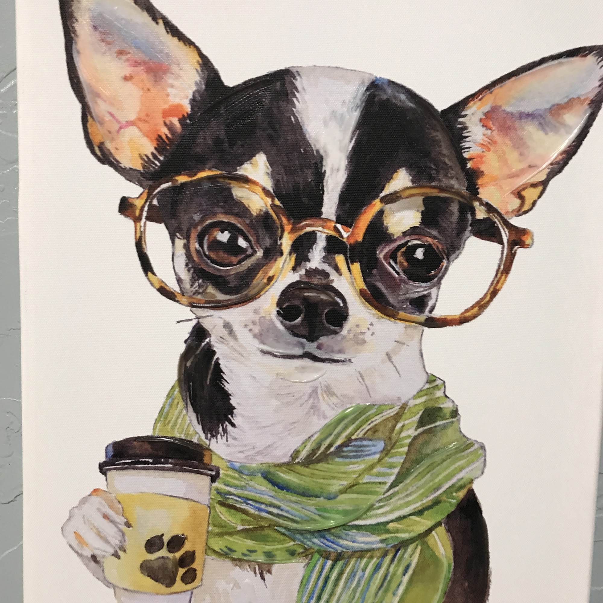 Friendship Veterinary Center Inc Fredericksburg