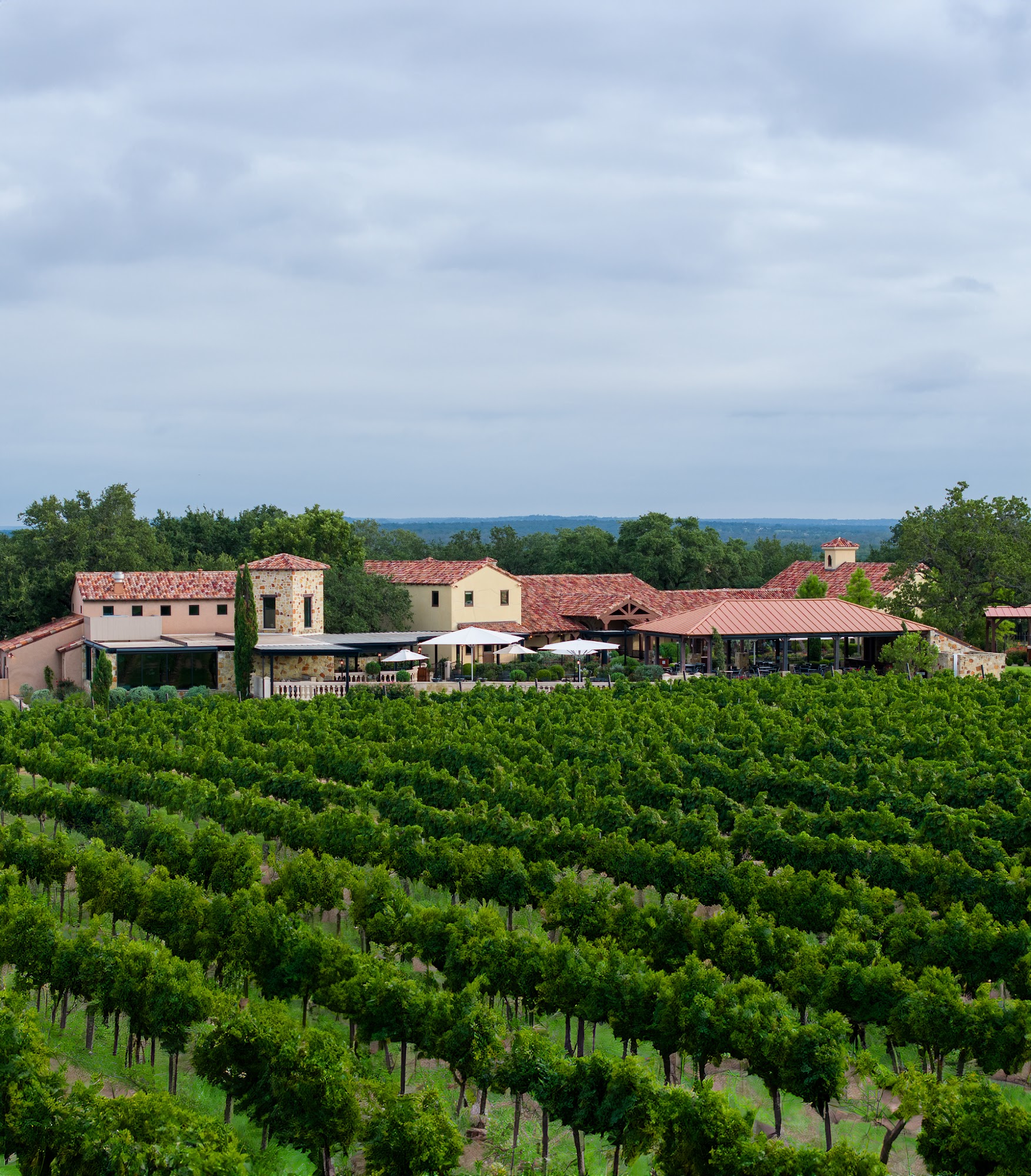 Grape Creek Vineyards Fredericksburg