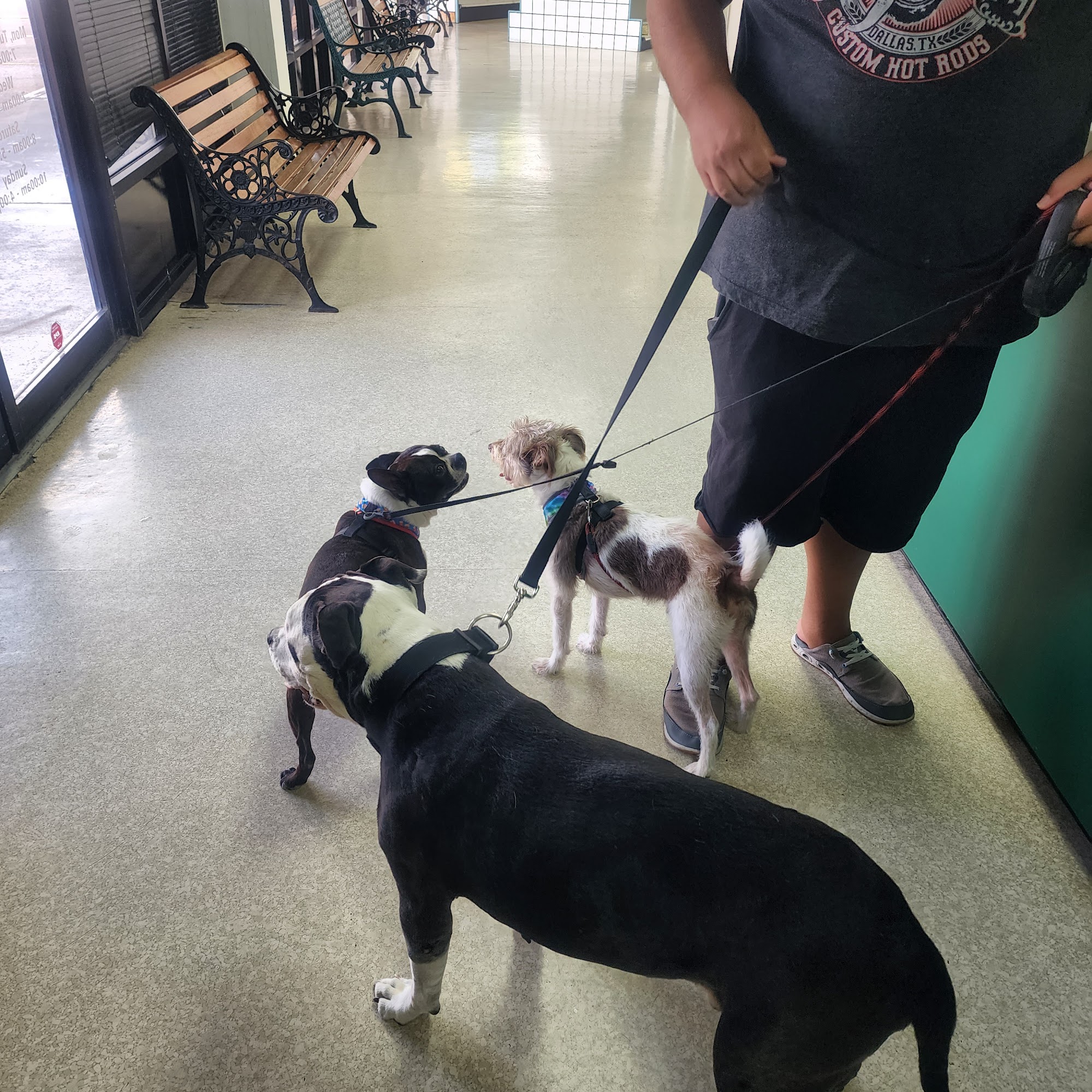 Pet Vet Animal Hospitals - Baybrook Mall Friendswood