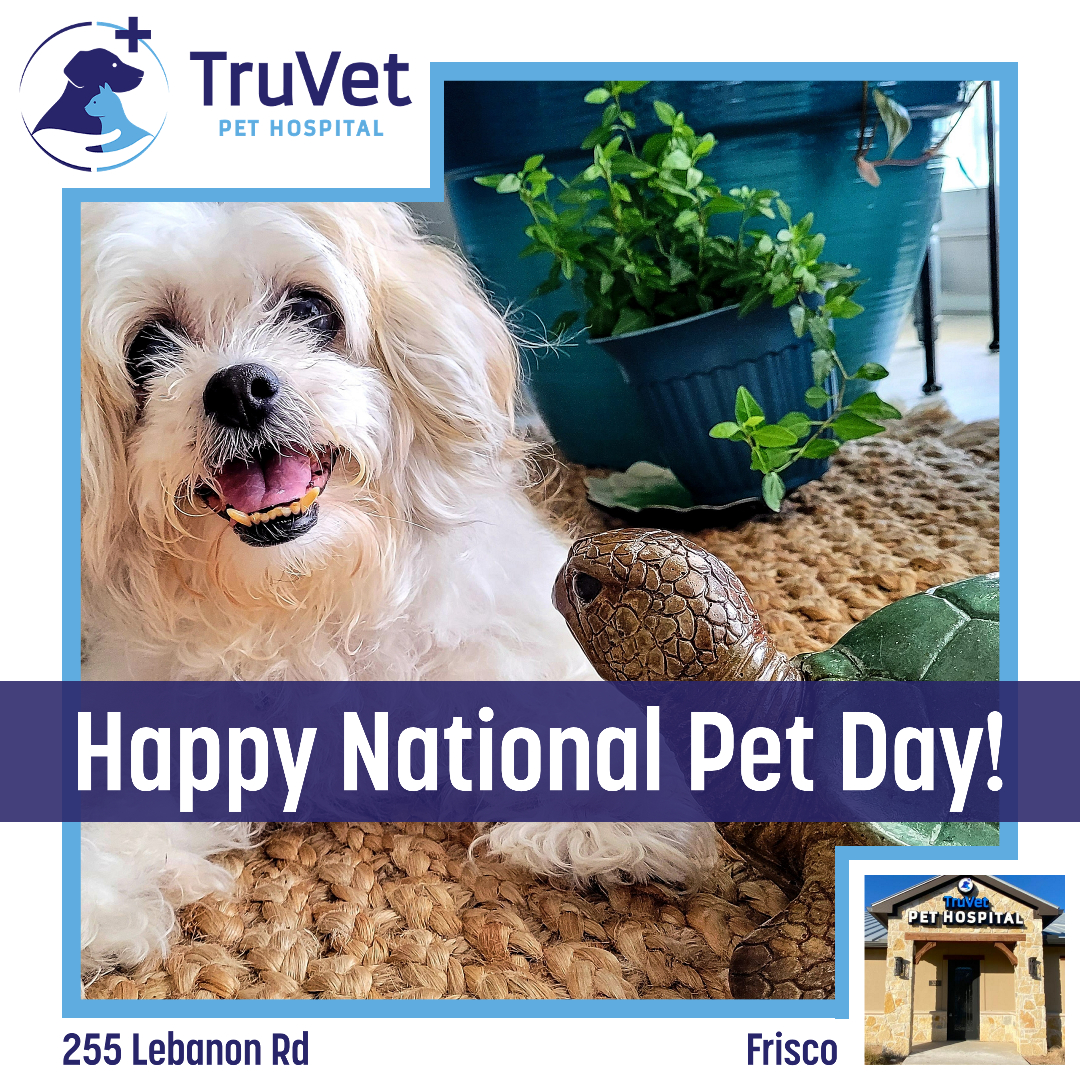 TruVet Pet Hospital Frisco
