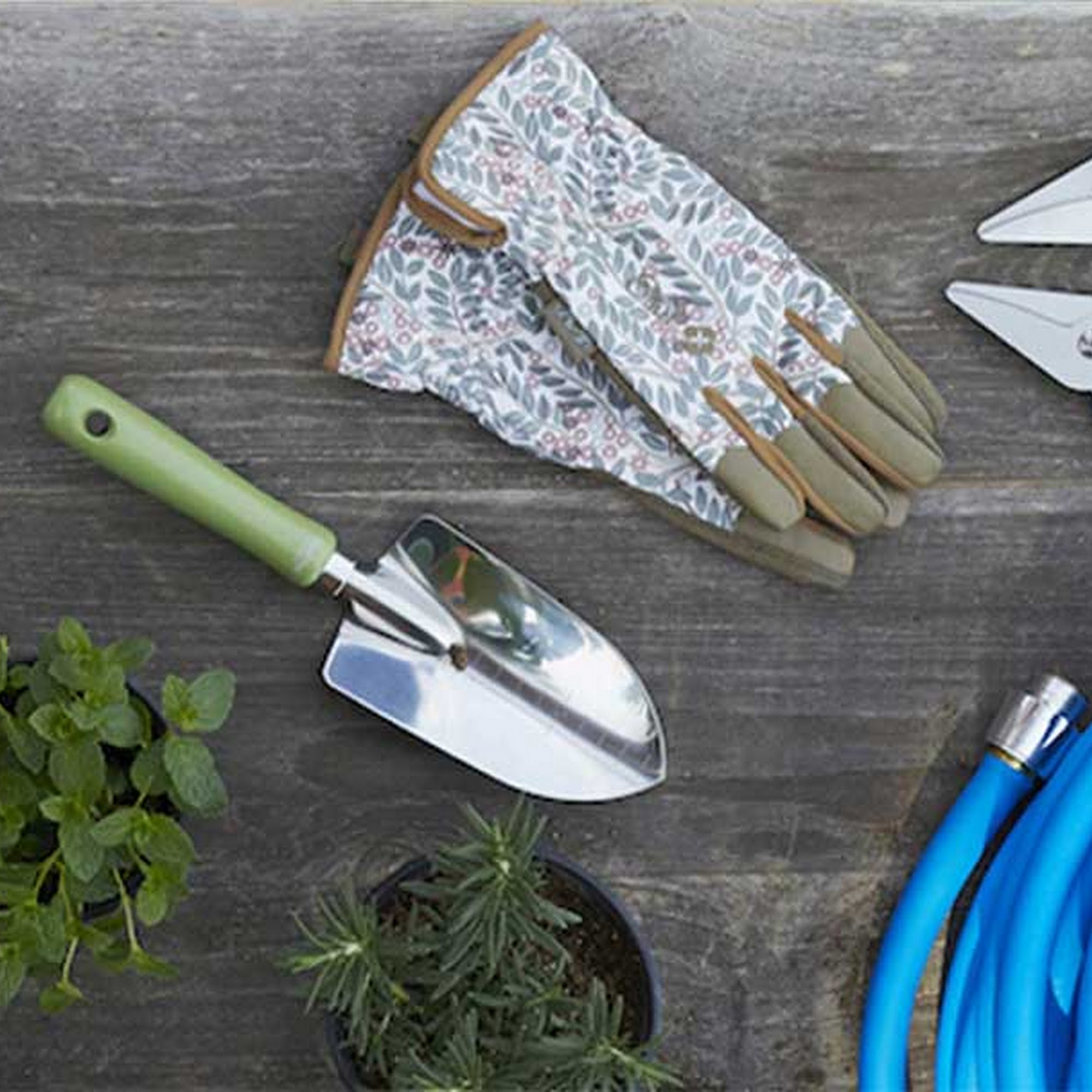 Walmart Garden Center Frisco