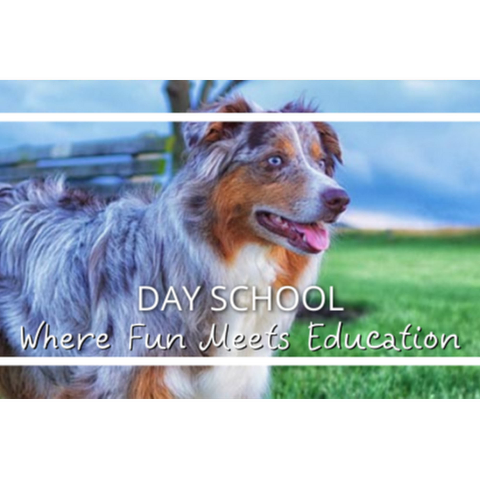 South Paws Ranch Gainesville