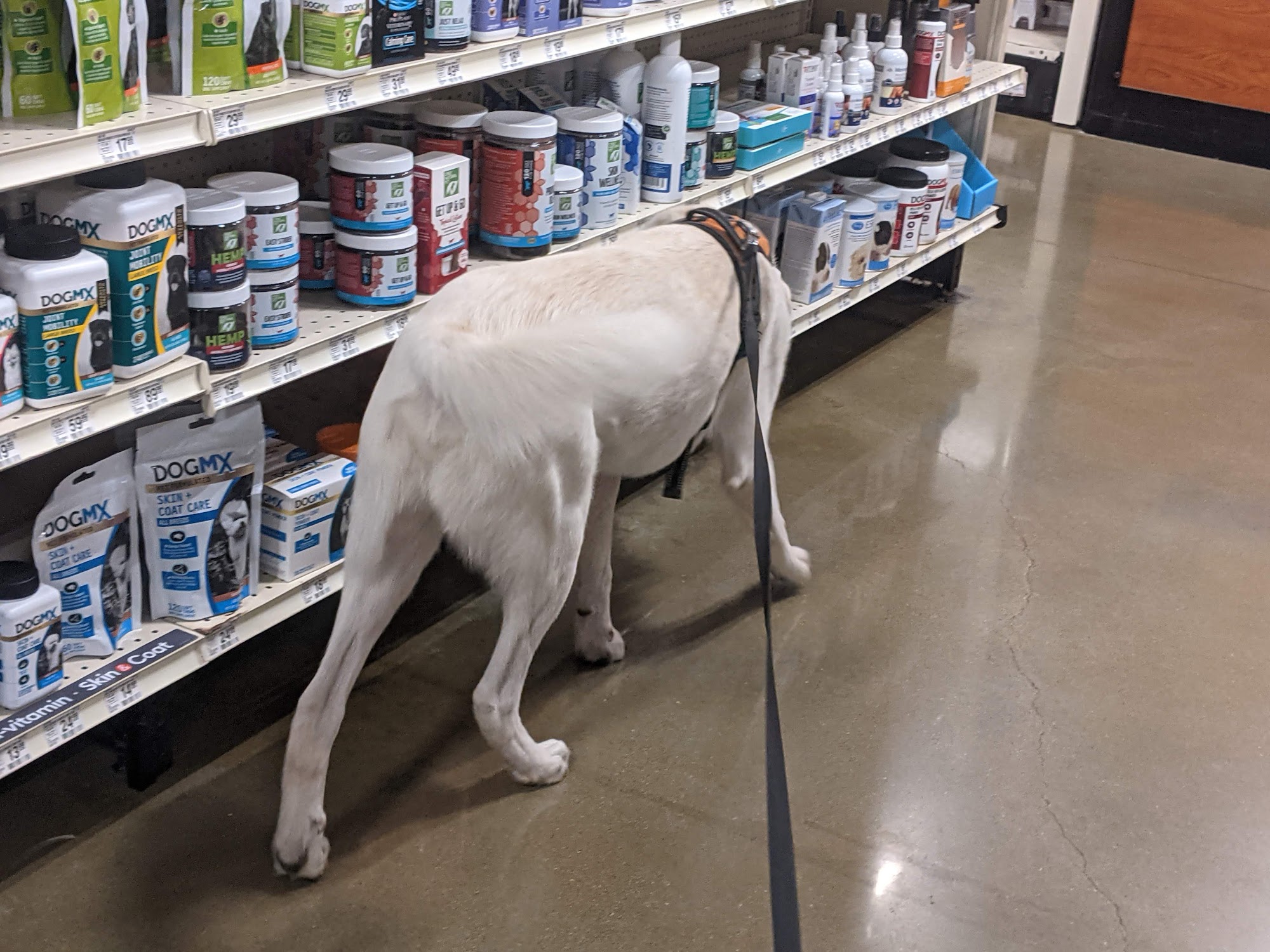 PetSmart Galveston
