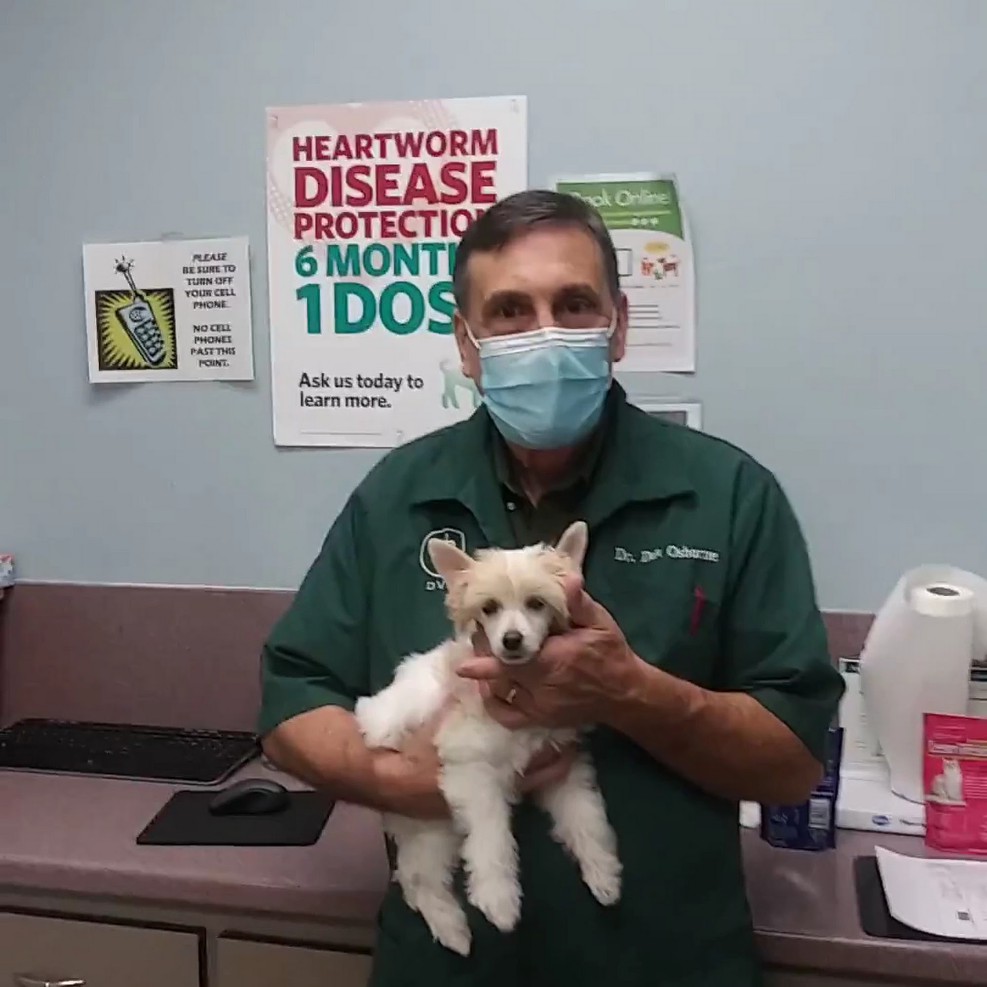 Galveston Veterinary Clinic Galveston