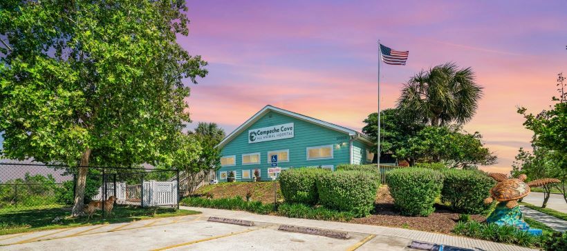 Campeche Cove All Animal Hospital Galveston
