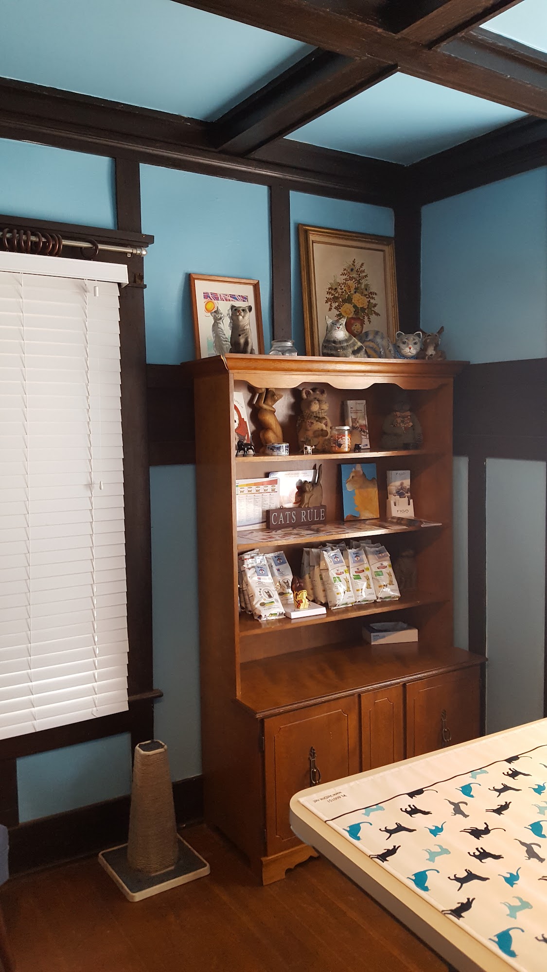 The Cat Clinic Galveston
