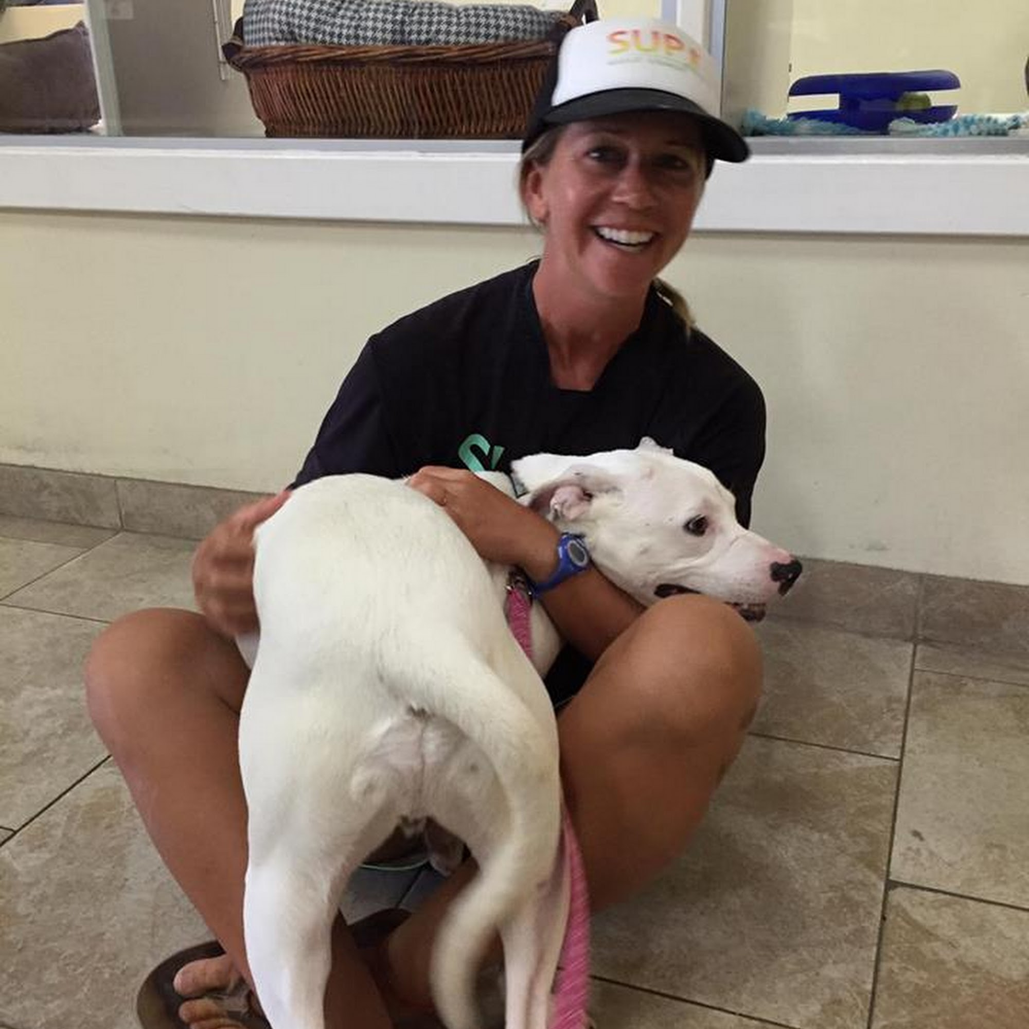 Galveston Island Humane Society Galveston