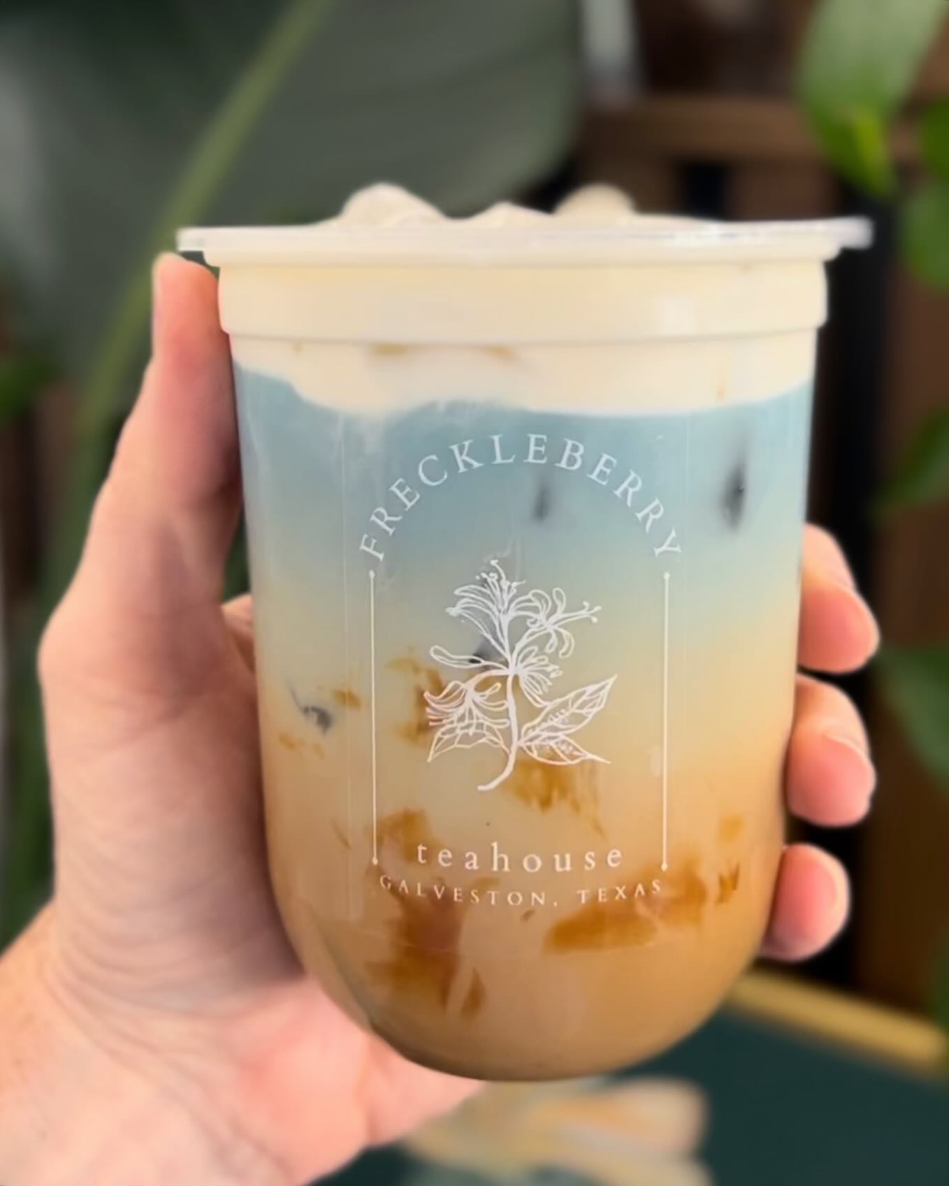 Freckleberry Teahouse Galveston