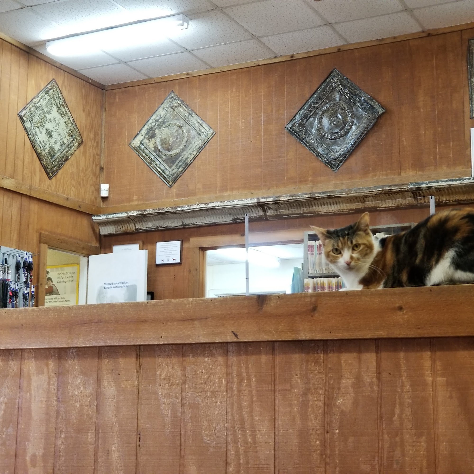 Coryell Veterinary Clinic: Clay Britton W DVM Gatesville