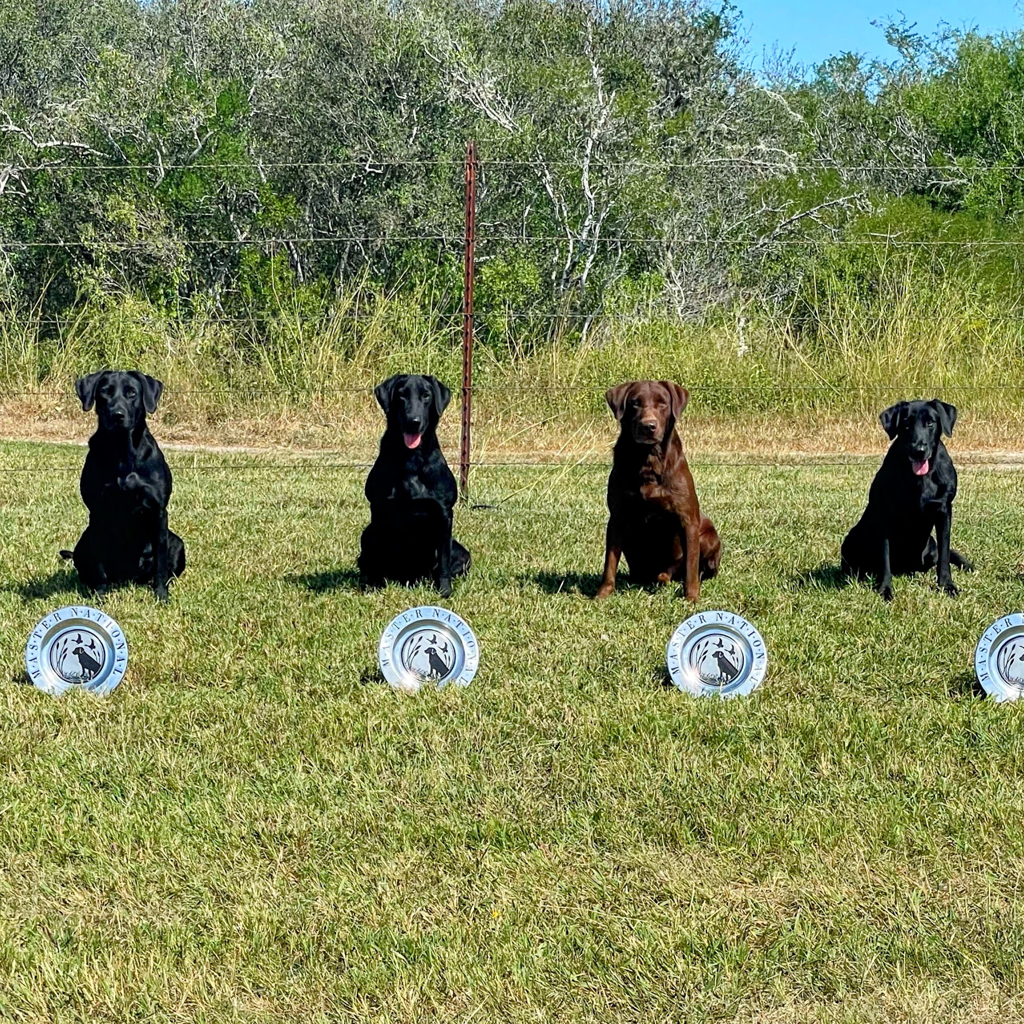 Lone Star Retrievers, LLC George West