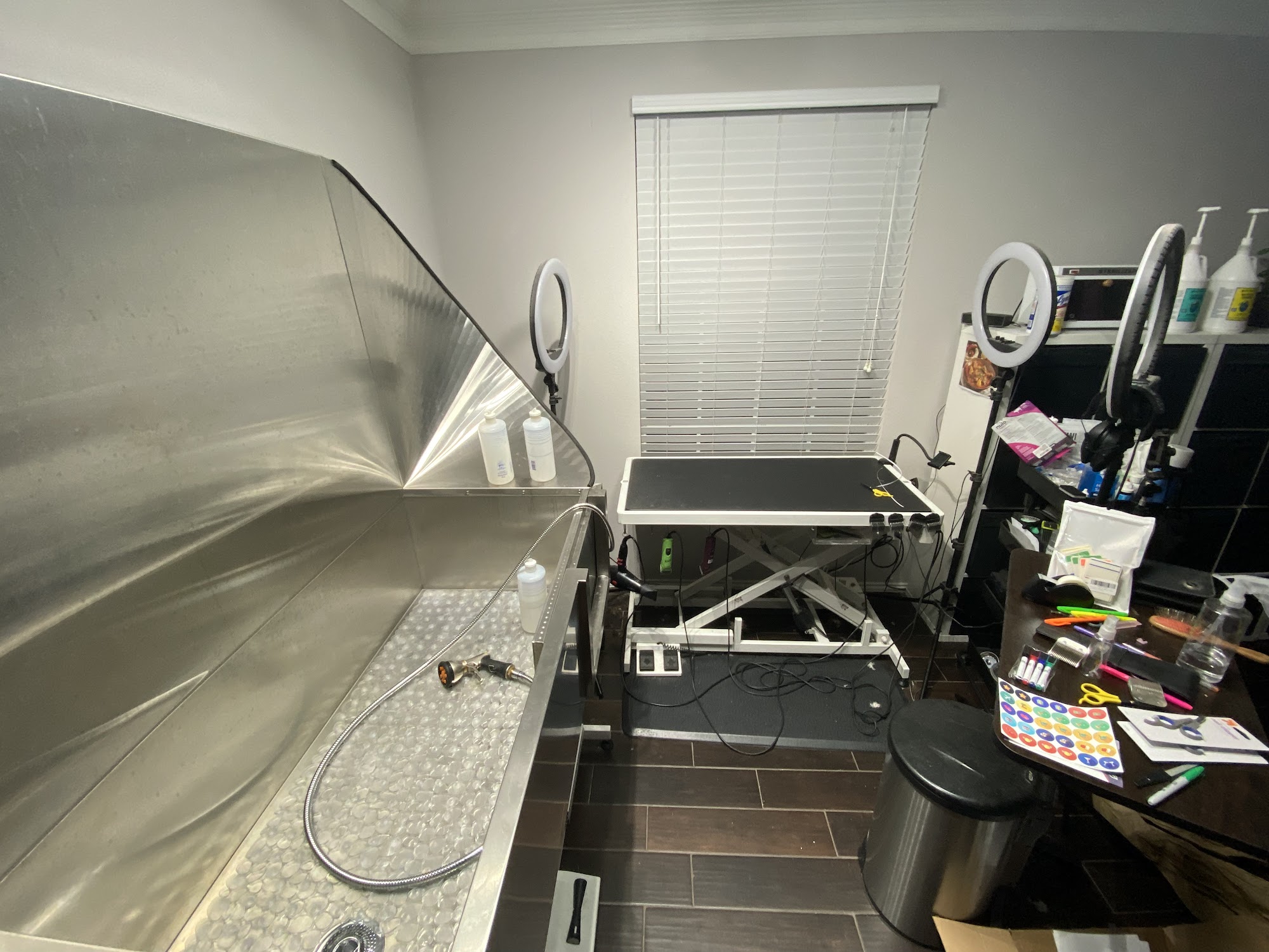 Wholesome Doodle Spa Georgetown