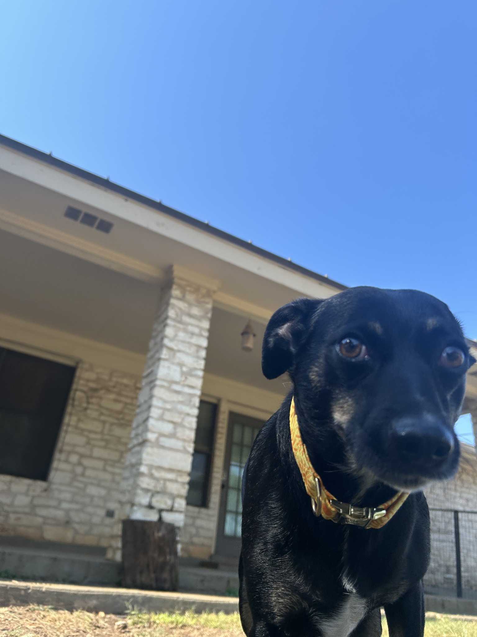 Action Pack - Georgetown Georgetown