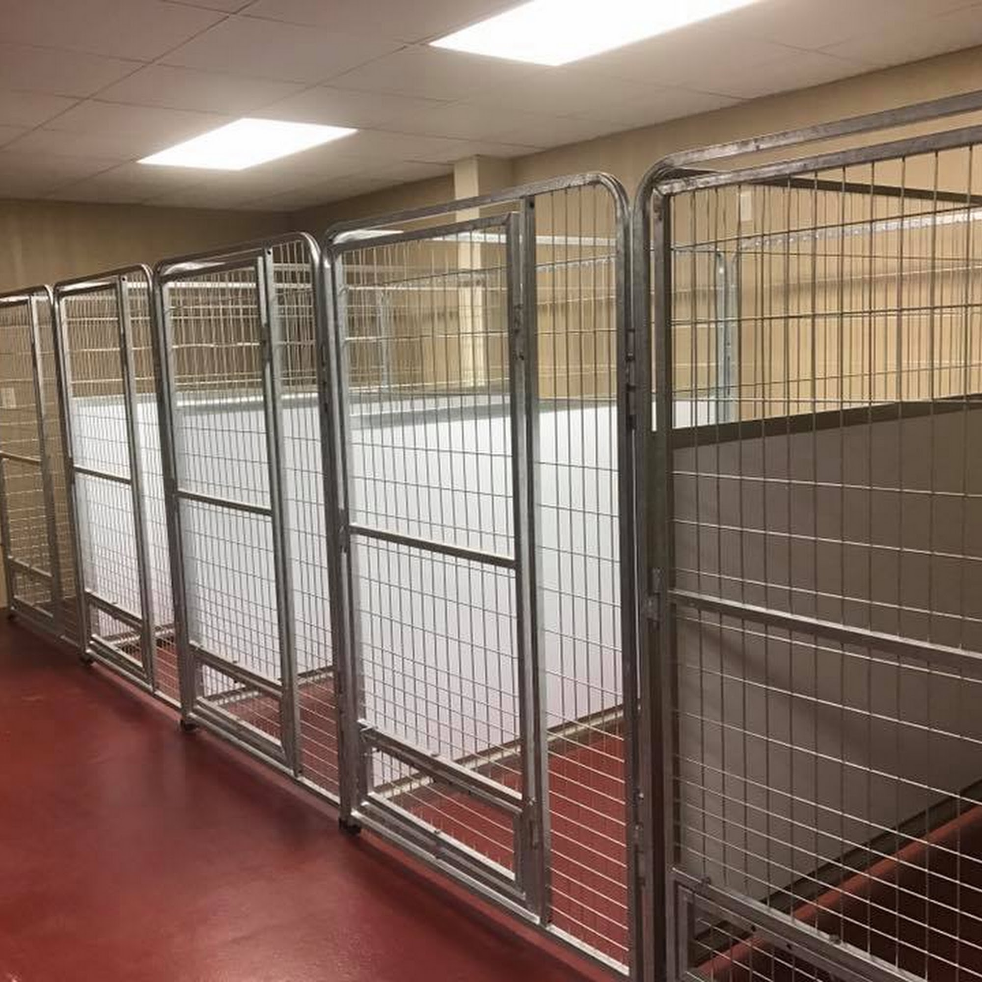 D's Doghouse n More Gilmer