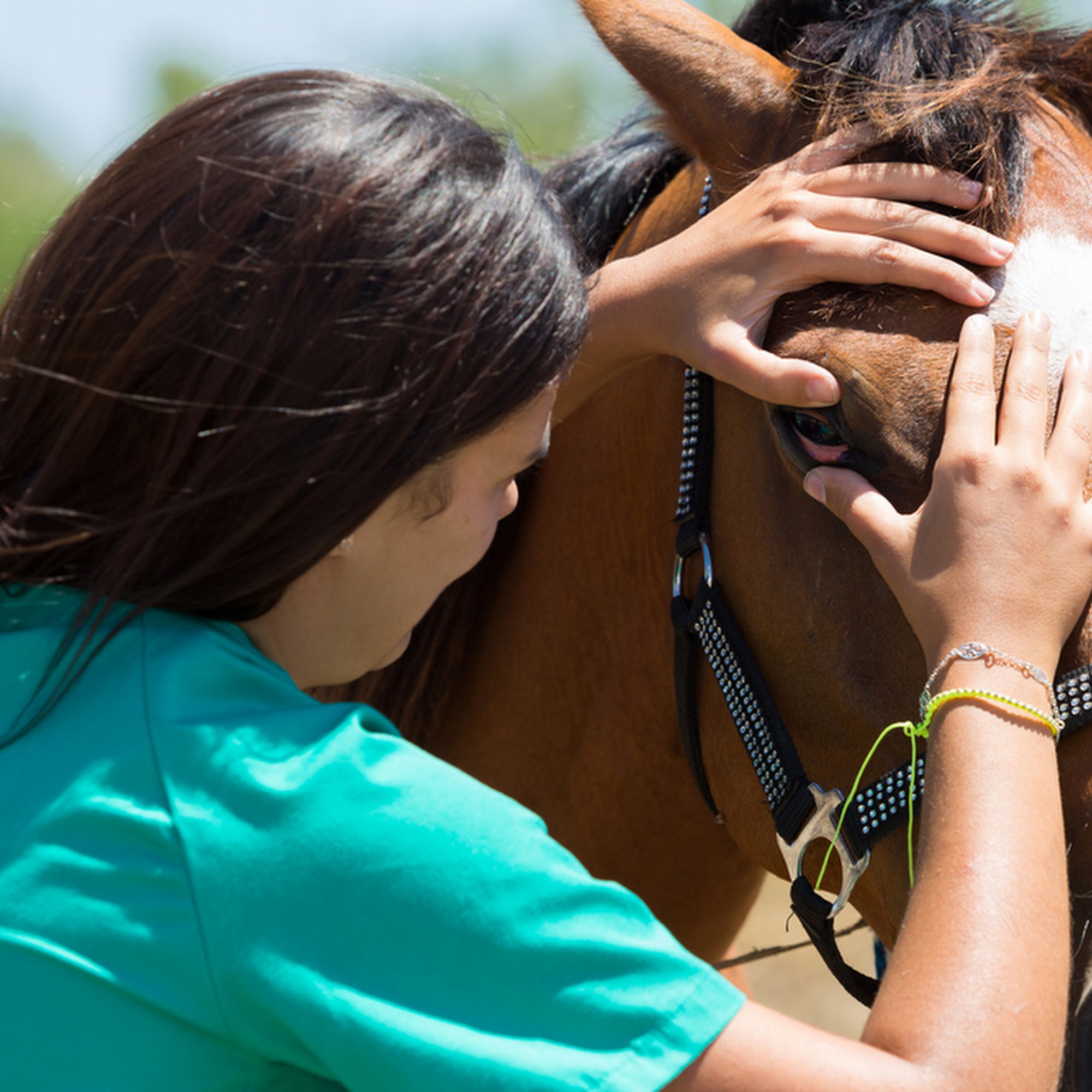 Mills County Veterinary Clinic