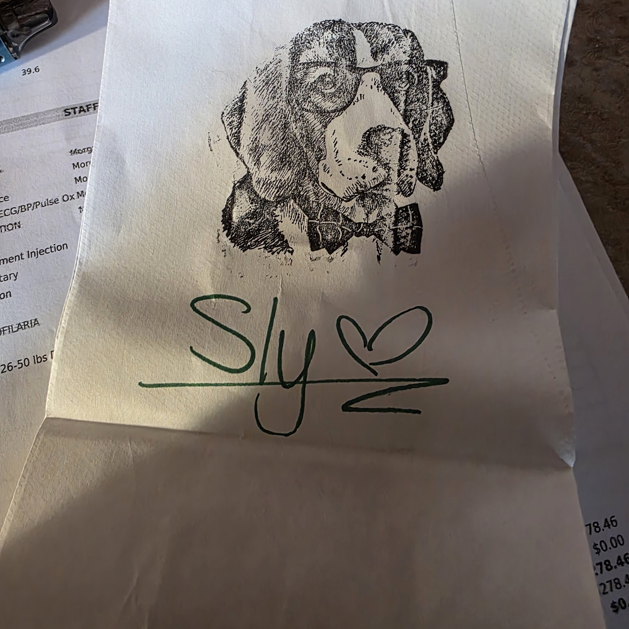 Countryside Veterinary Hospital Graham