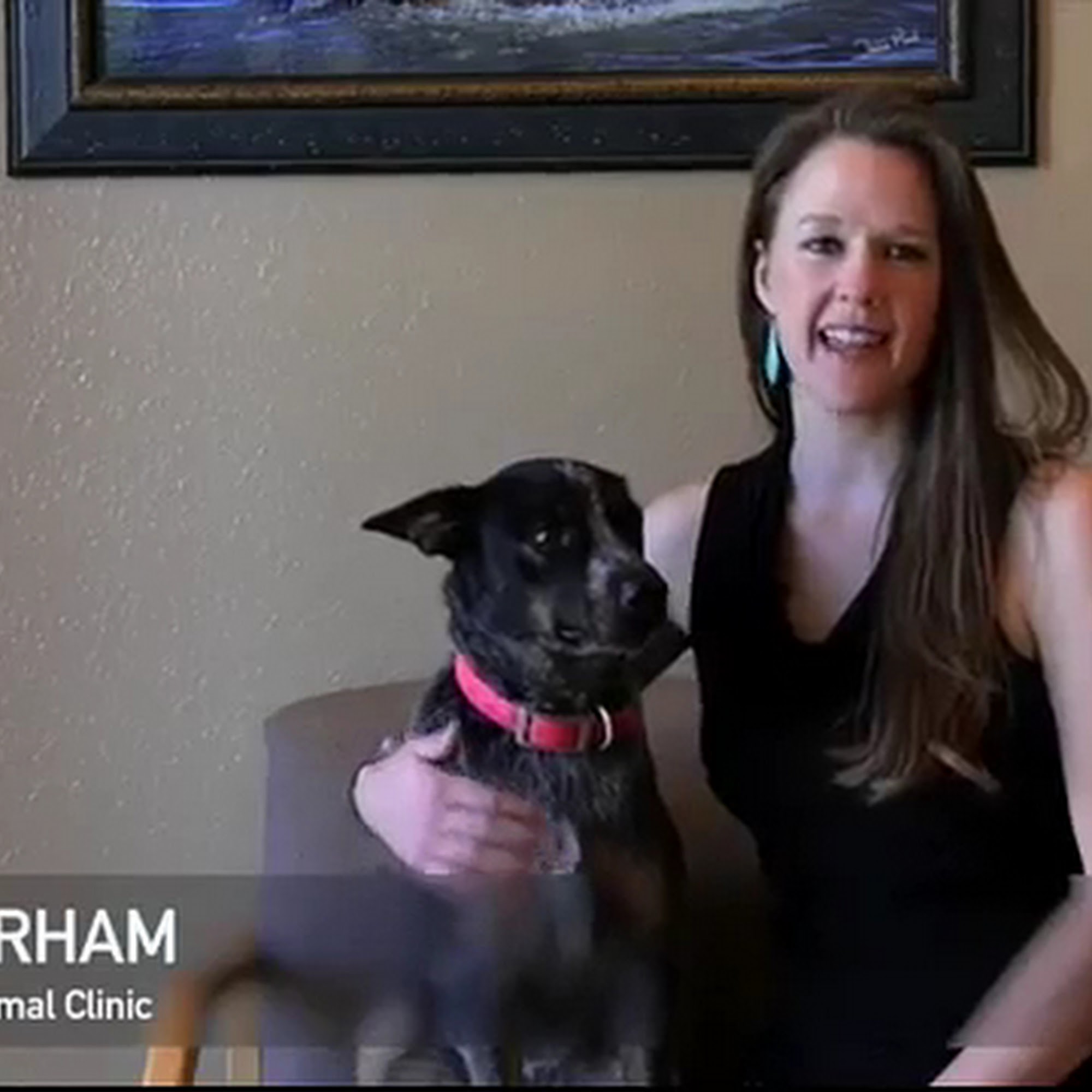 Granbury Animal Clinic Granbury