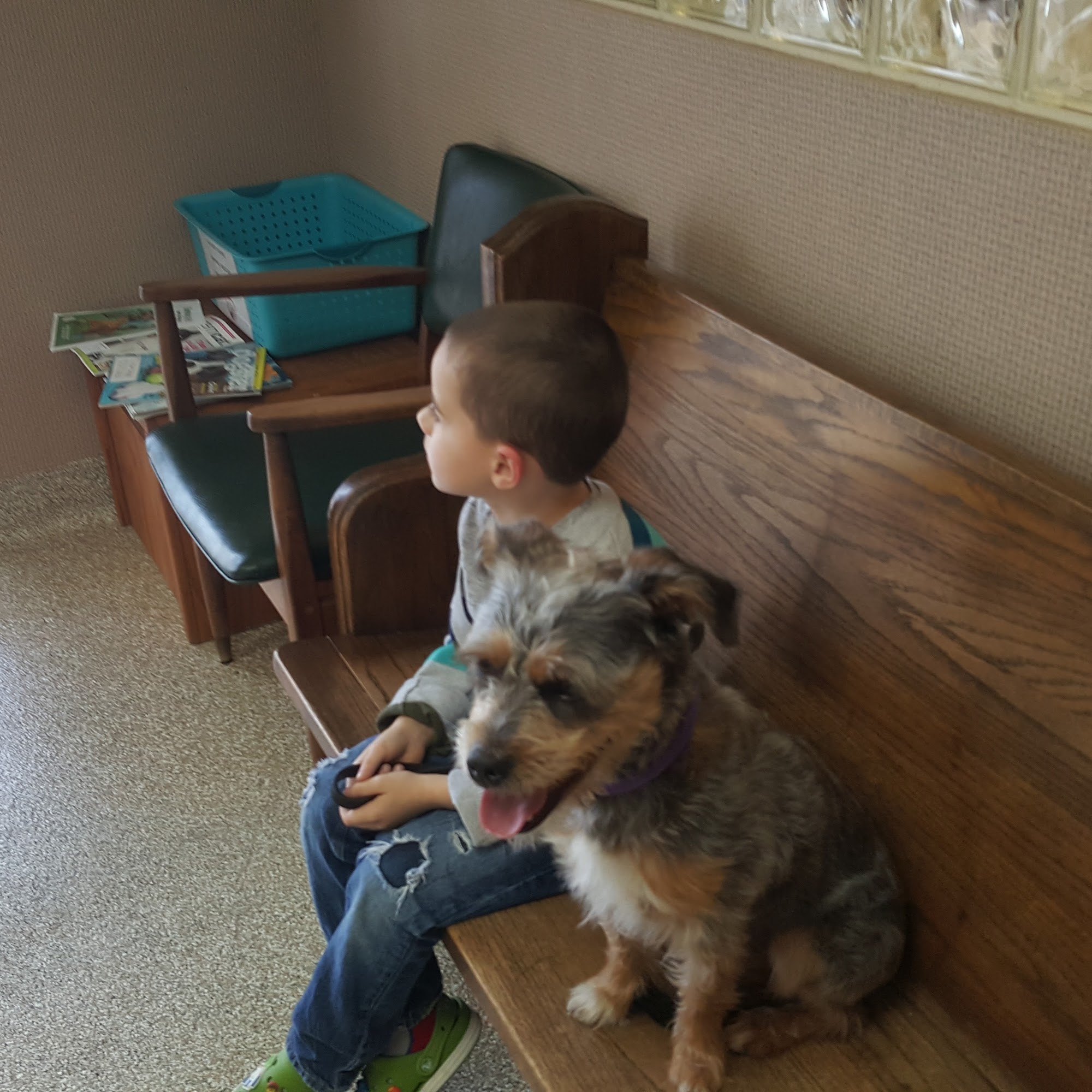 303 Animal Clinic Grand Prairie