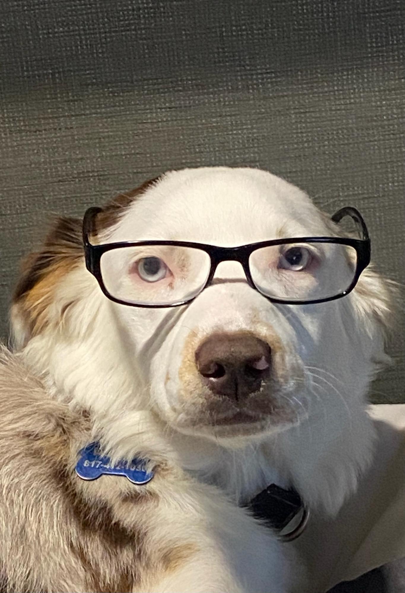 A Prompt Computer Service