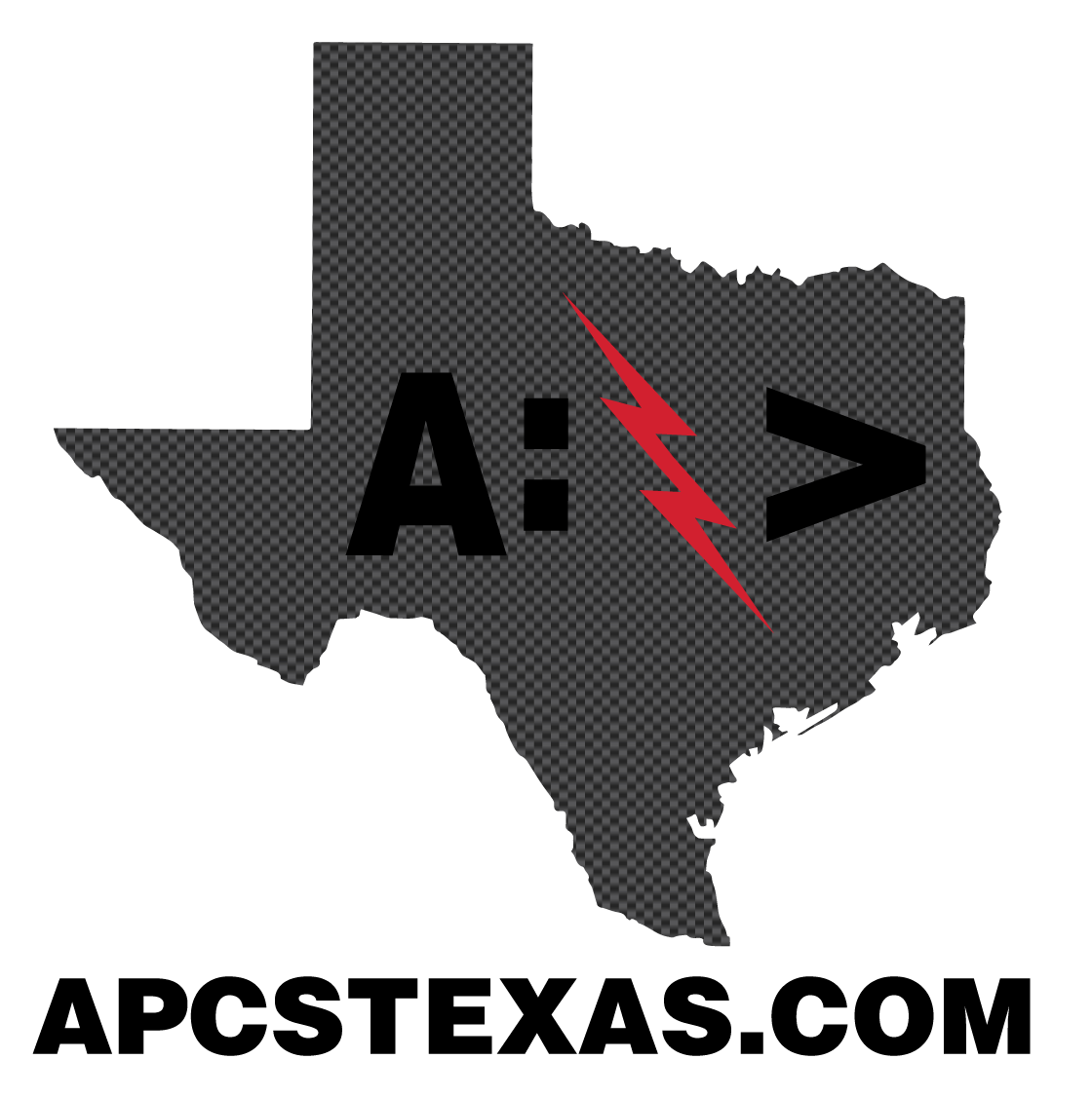 A Prompt Computer Service