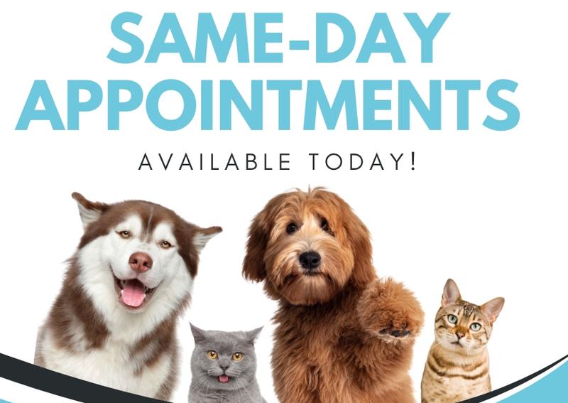 Riverwalk Pet Hospital & Resort Grapevine