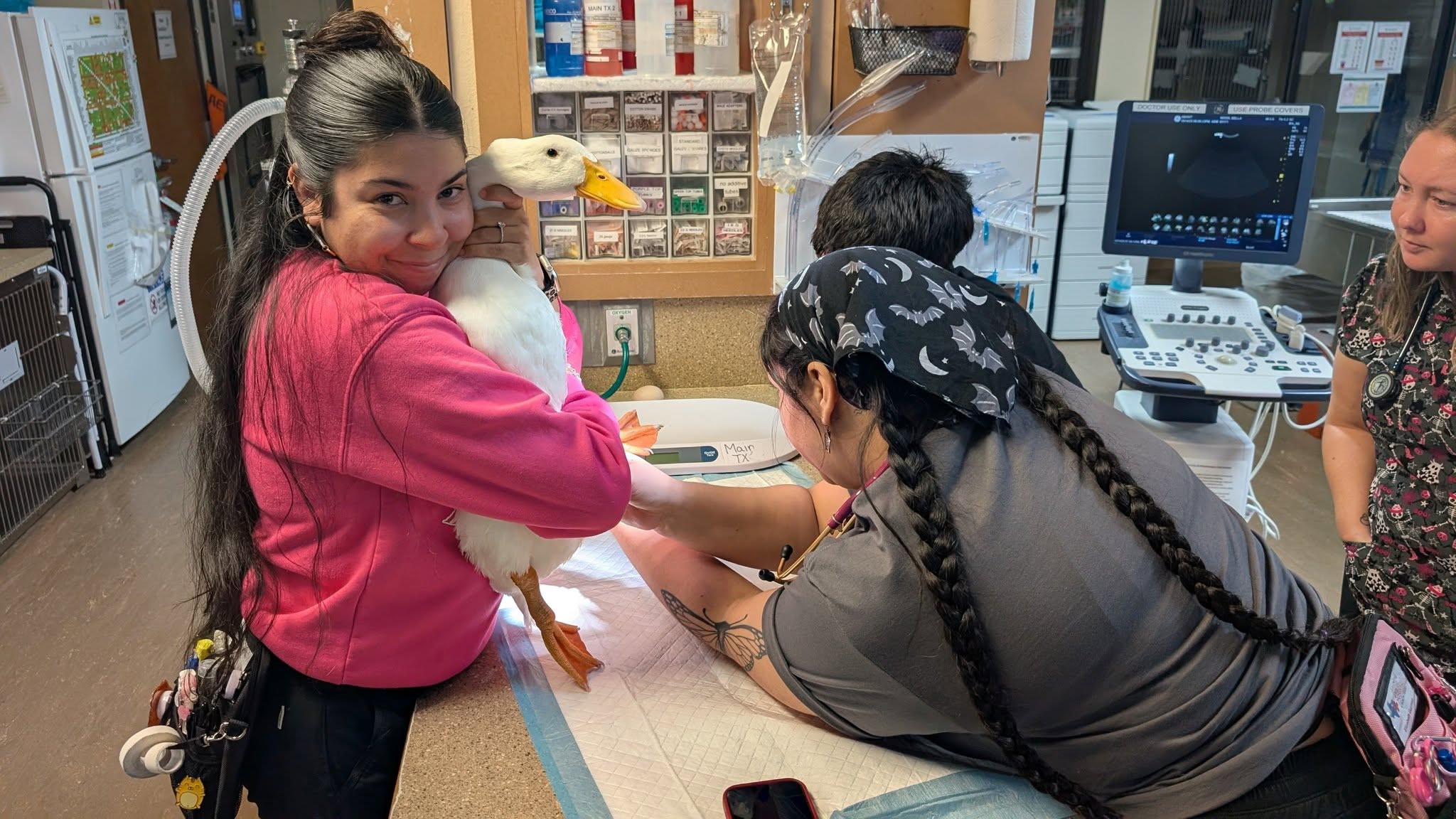 Veterinary Specialty Center & Animal Emergency Hospital Grapevine